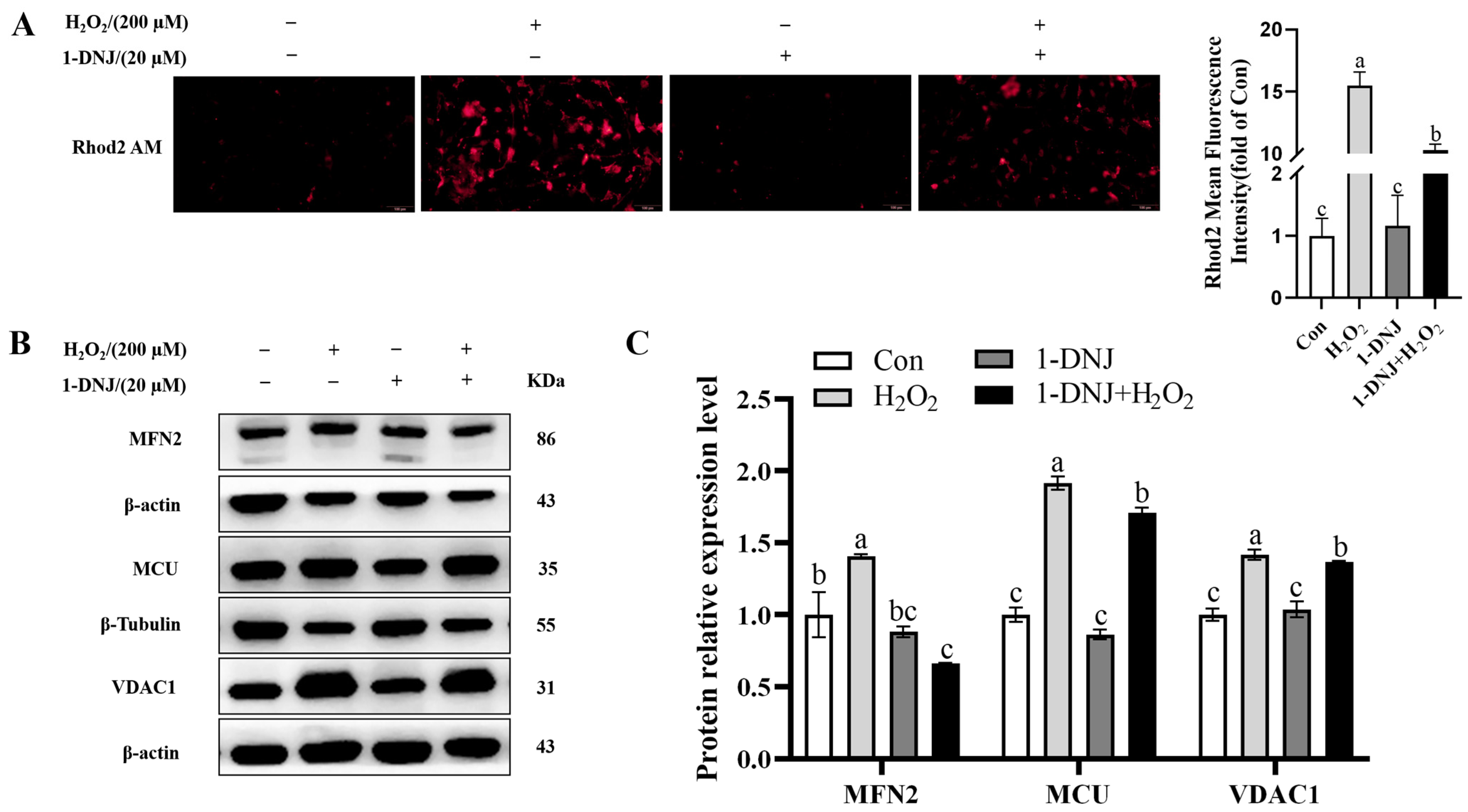 Antioxidants 14 00456 g009