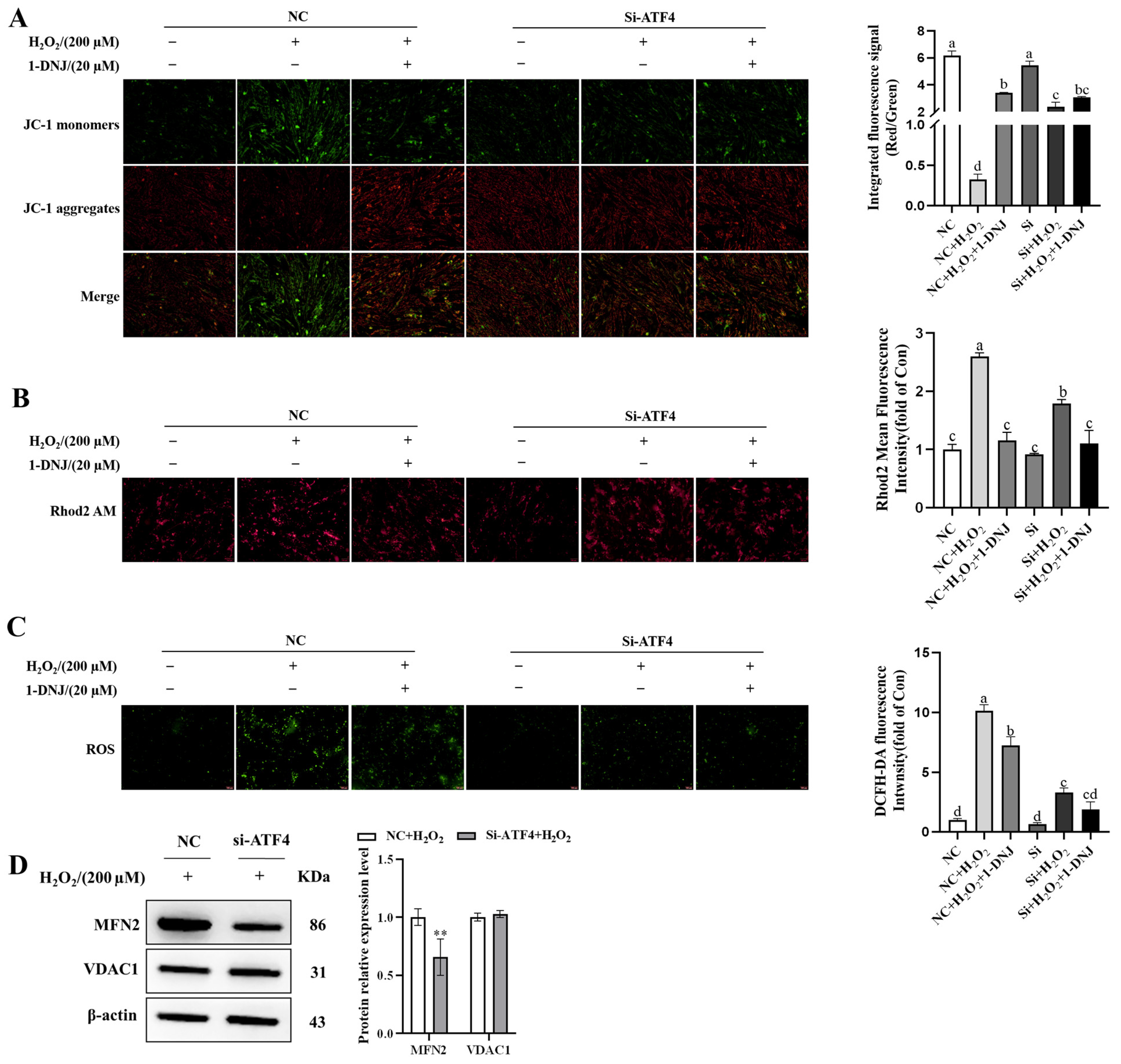Antioxidants 14 00456 g011