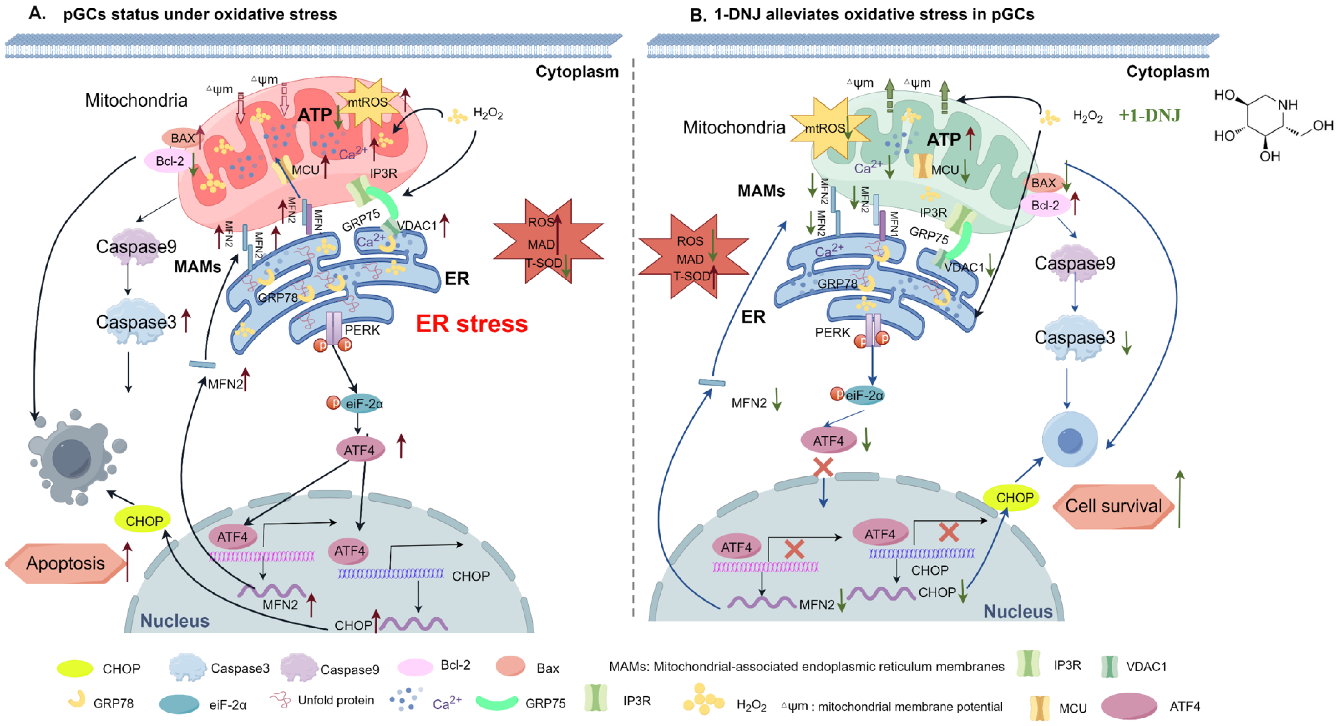 Antioxidants 14 00456 g012