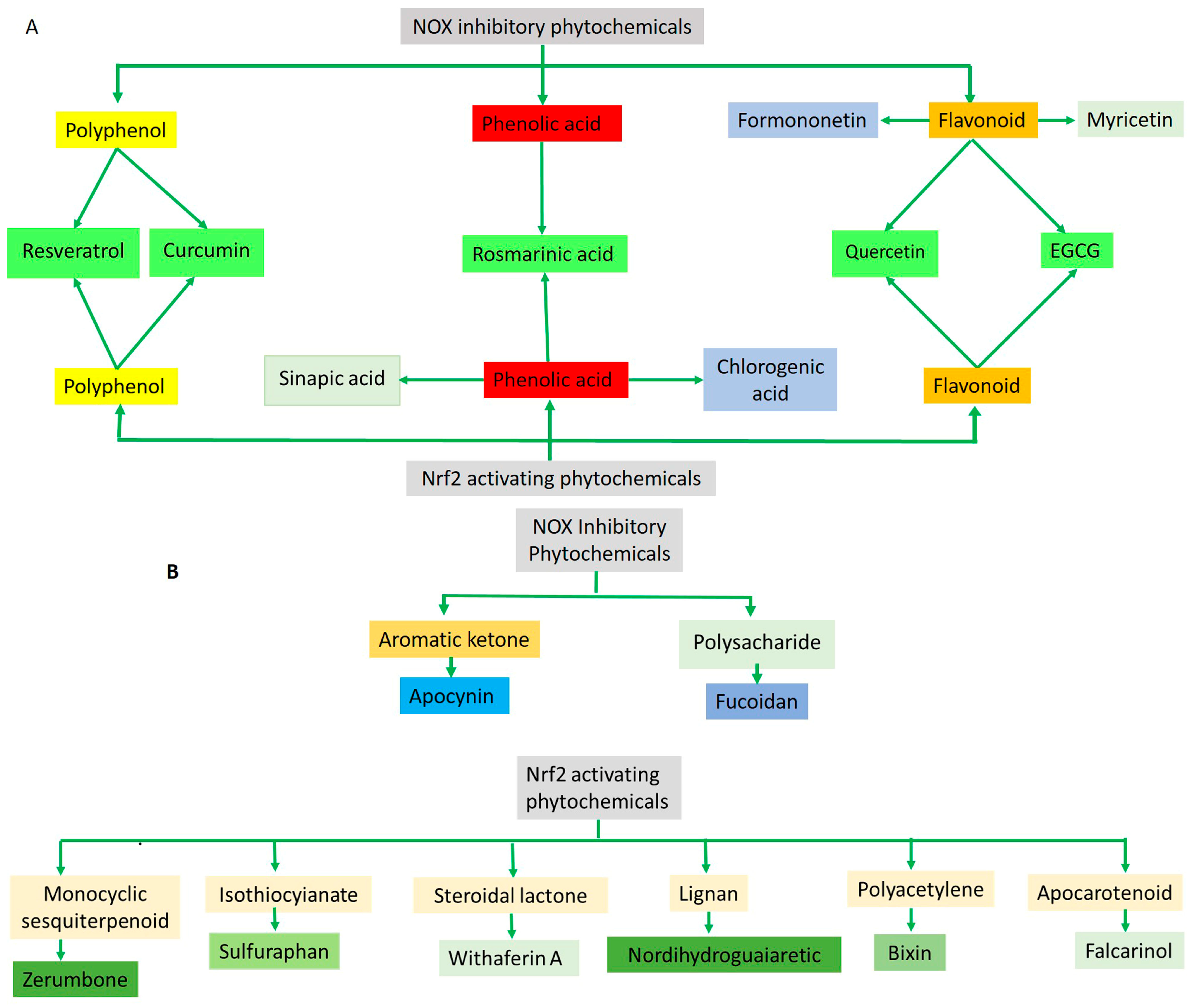 Antioxidants 14 00457 g004 Antioxidants 14 00457 g004