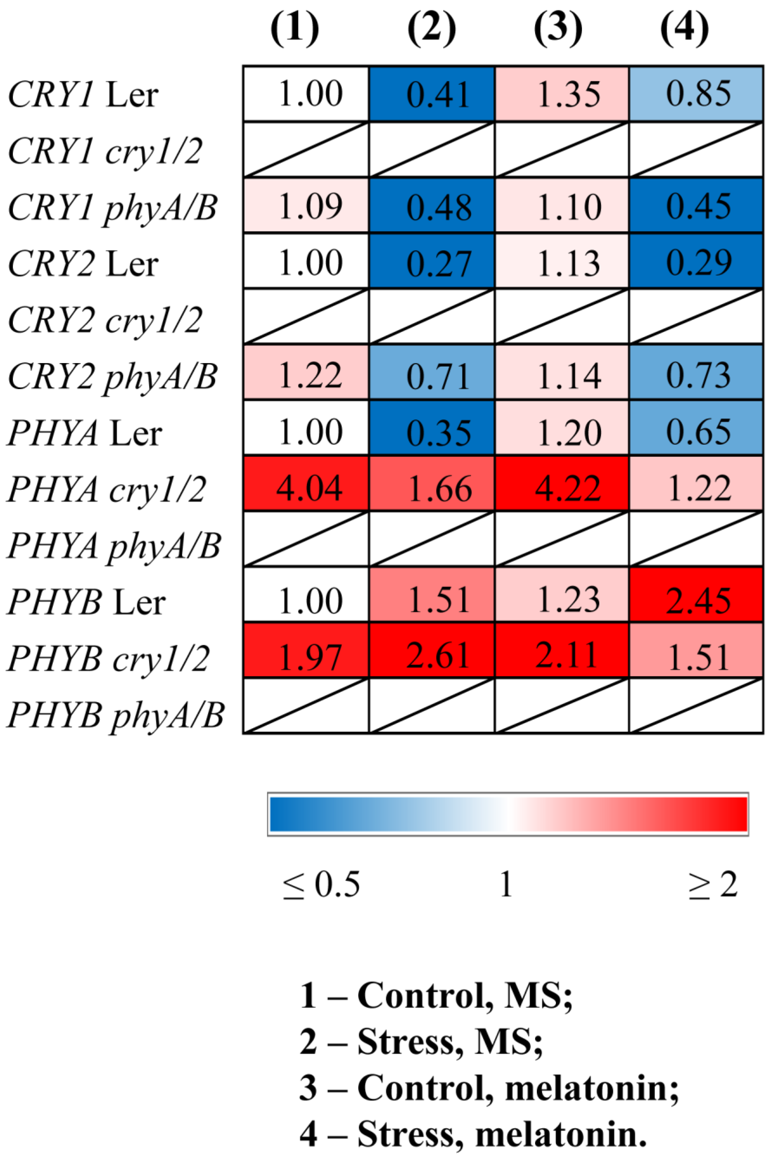 Antioxidants 14 00458 g001