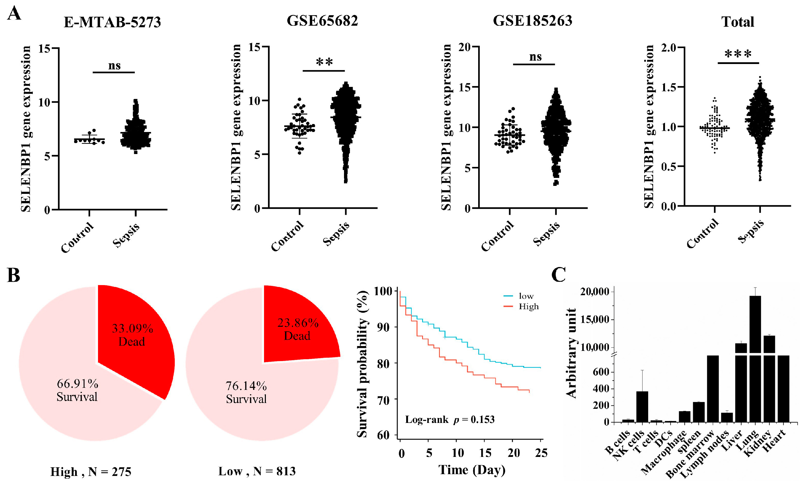 Antioxidants 14 00468 g001