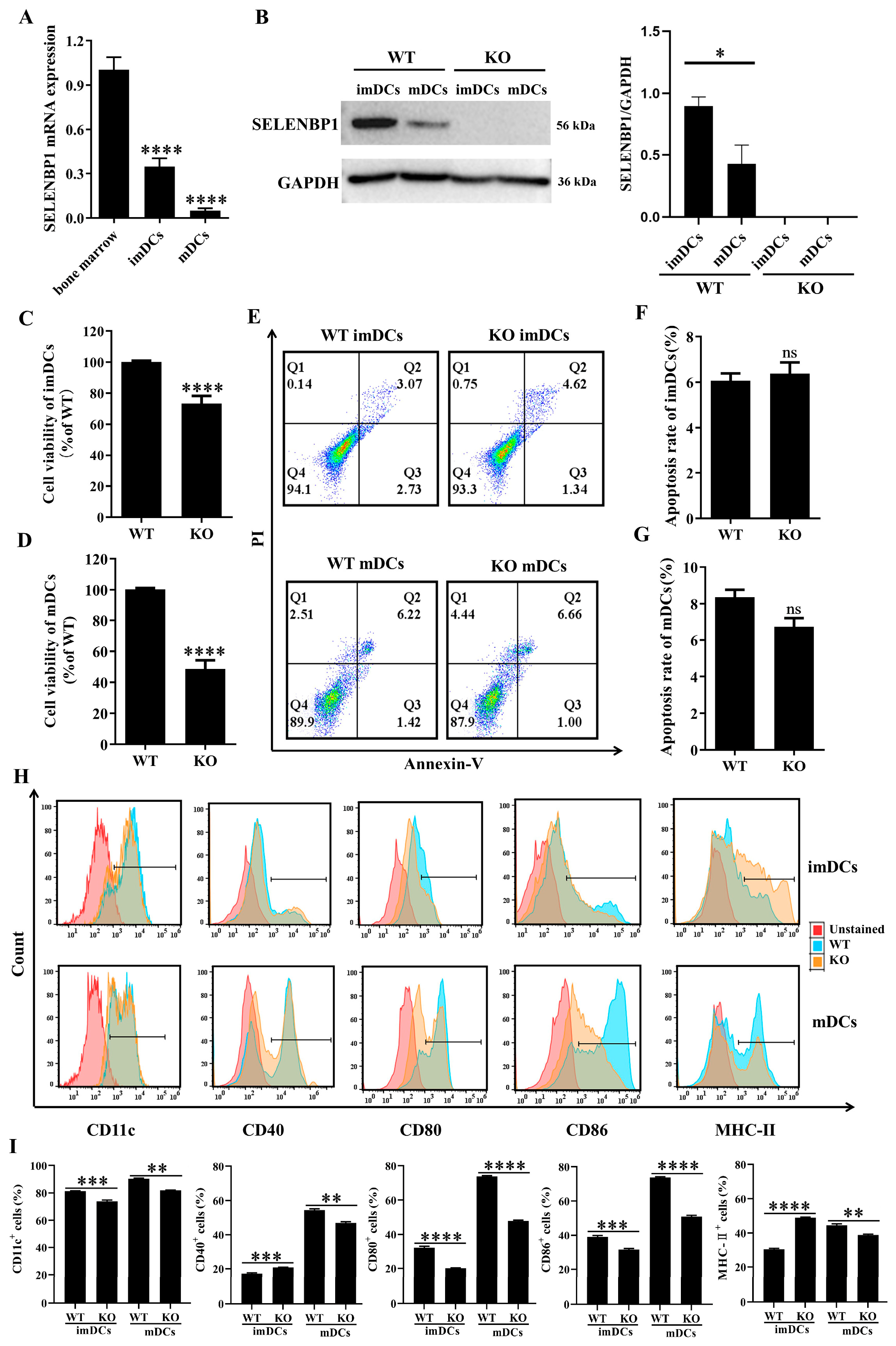 Antioxidants 14 00468 g005