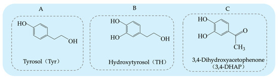 Synthesis and Health Effects of Phenolic Compounds: A Focus
