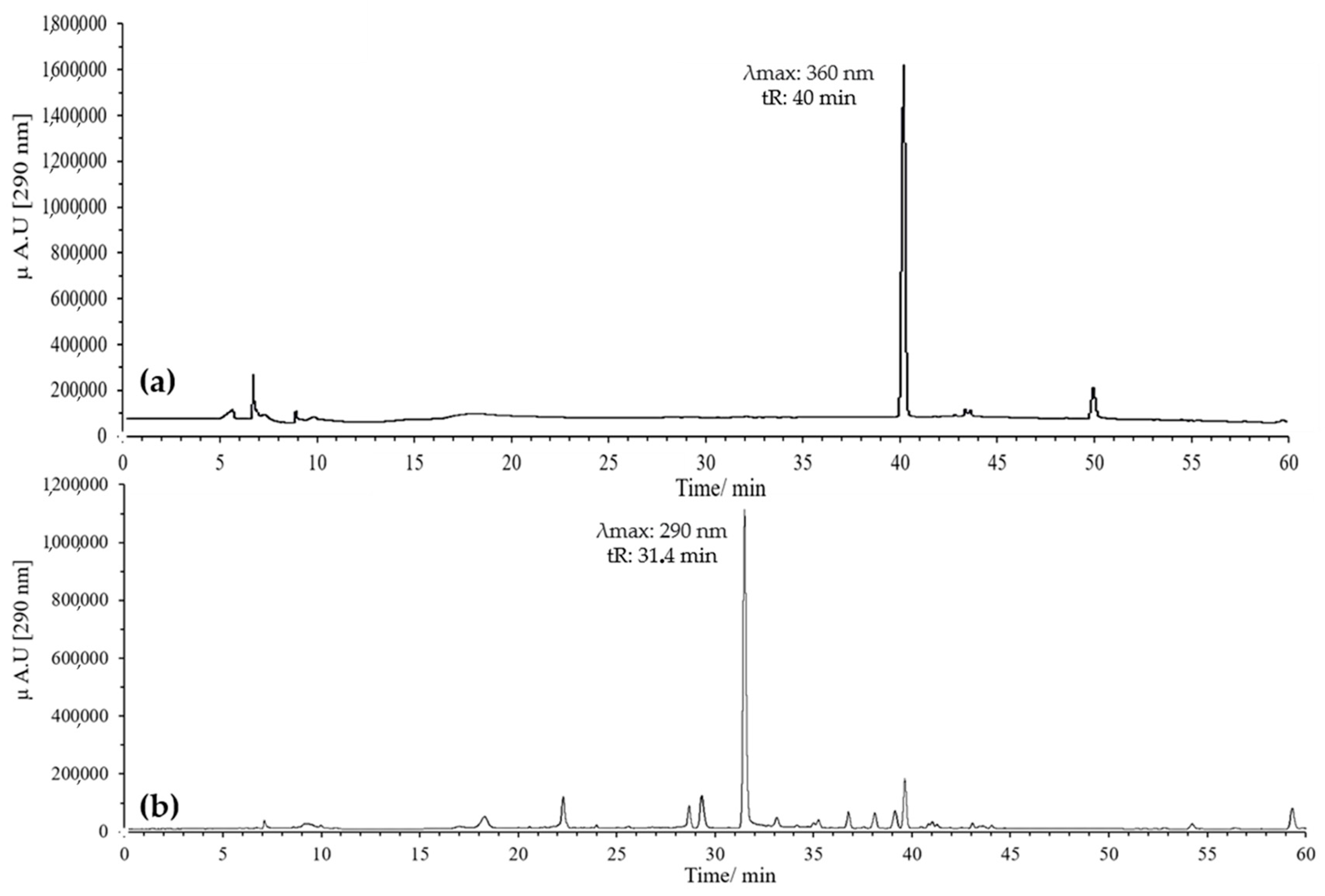 Antioxidants 14 00479 g001