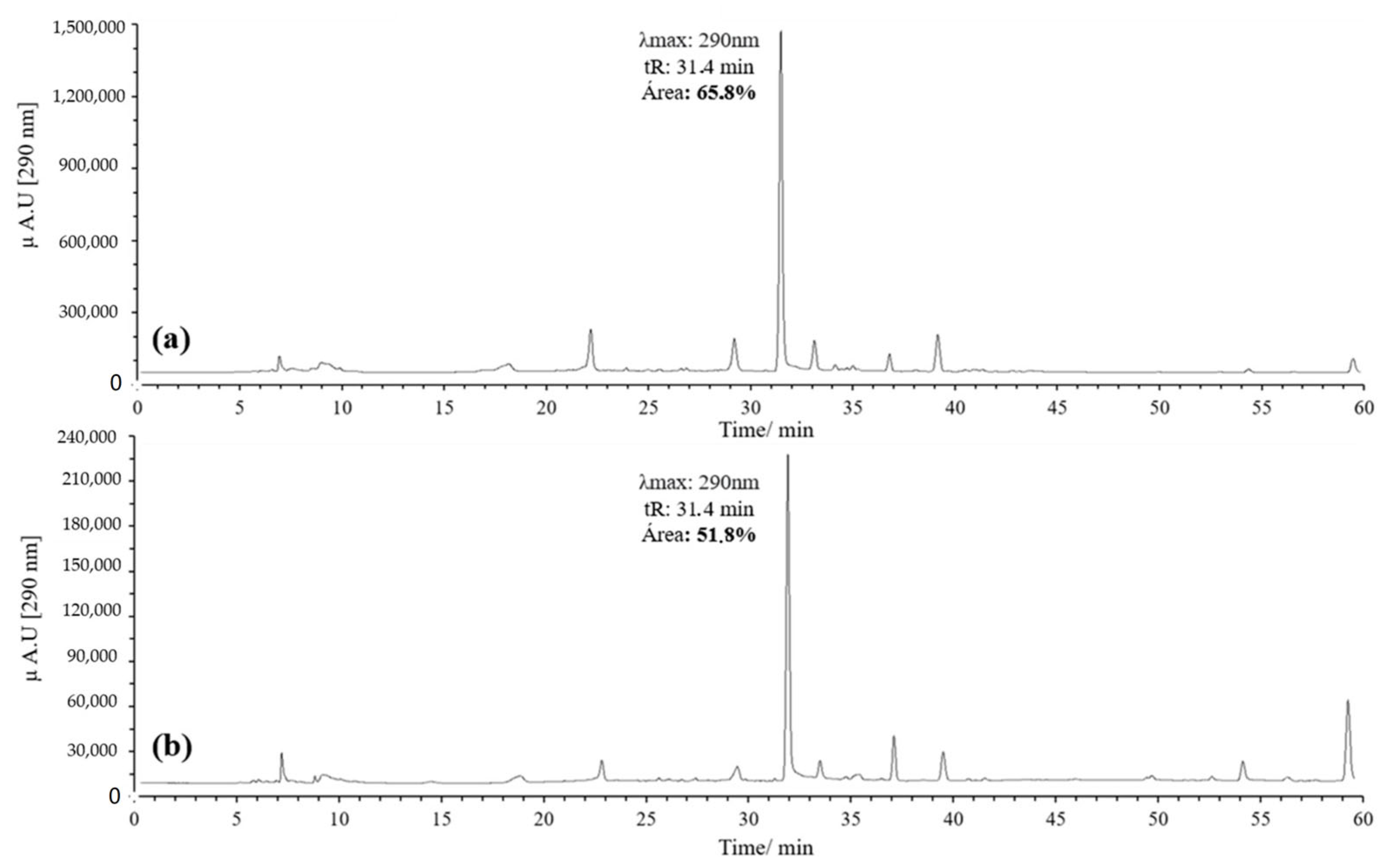 Antioxidants 14 00479 g003