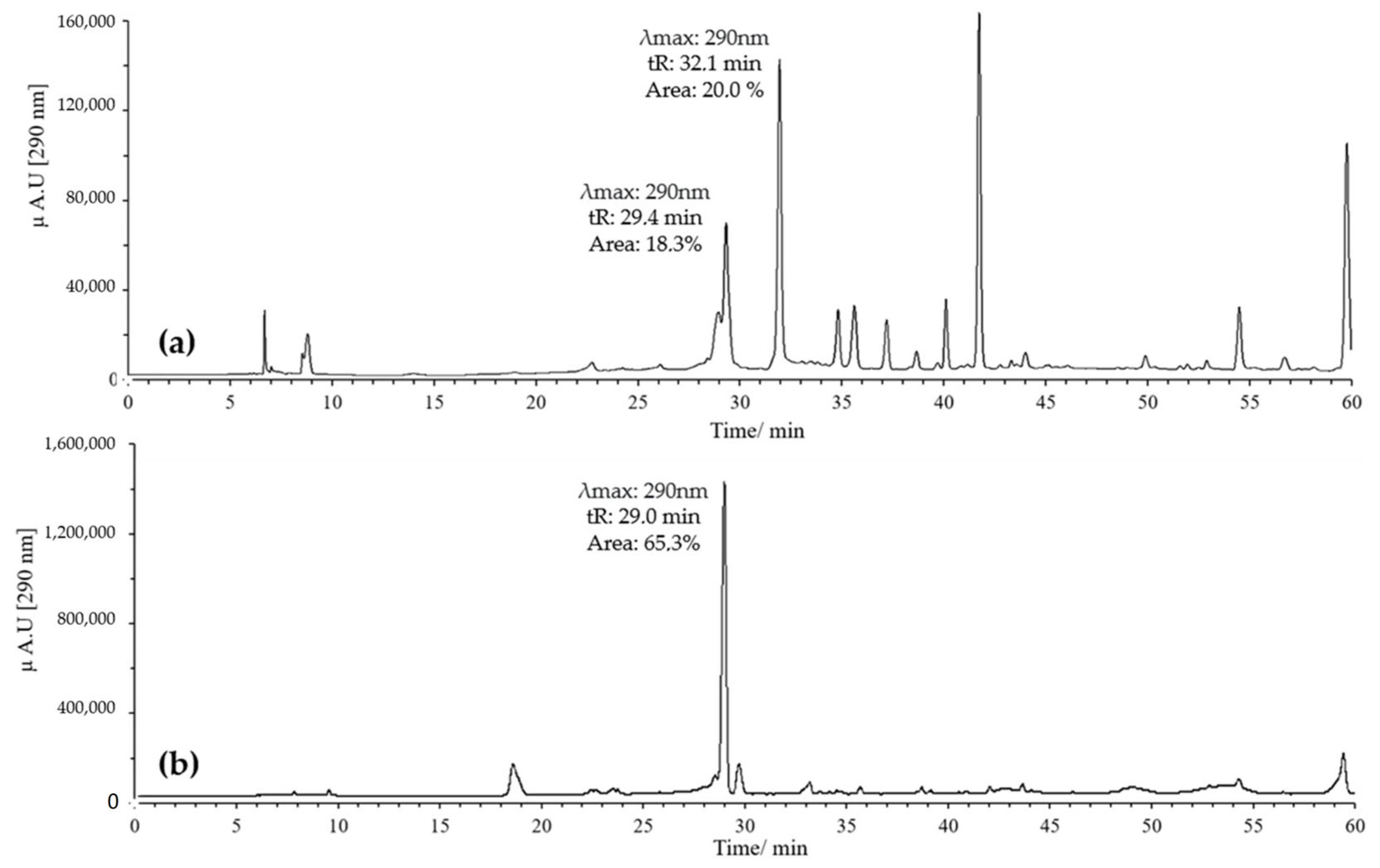 Antioxidants 14 00479 g004