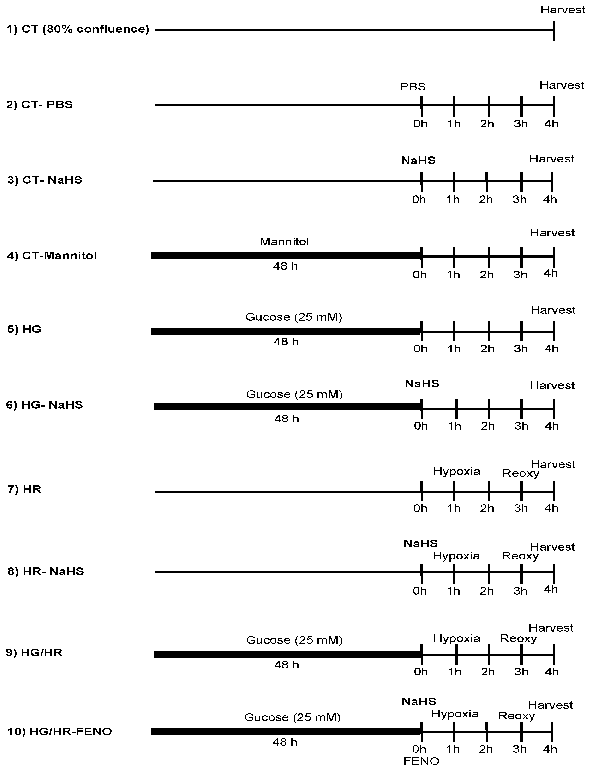 Antioxidants 14 00482 g001