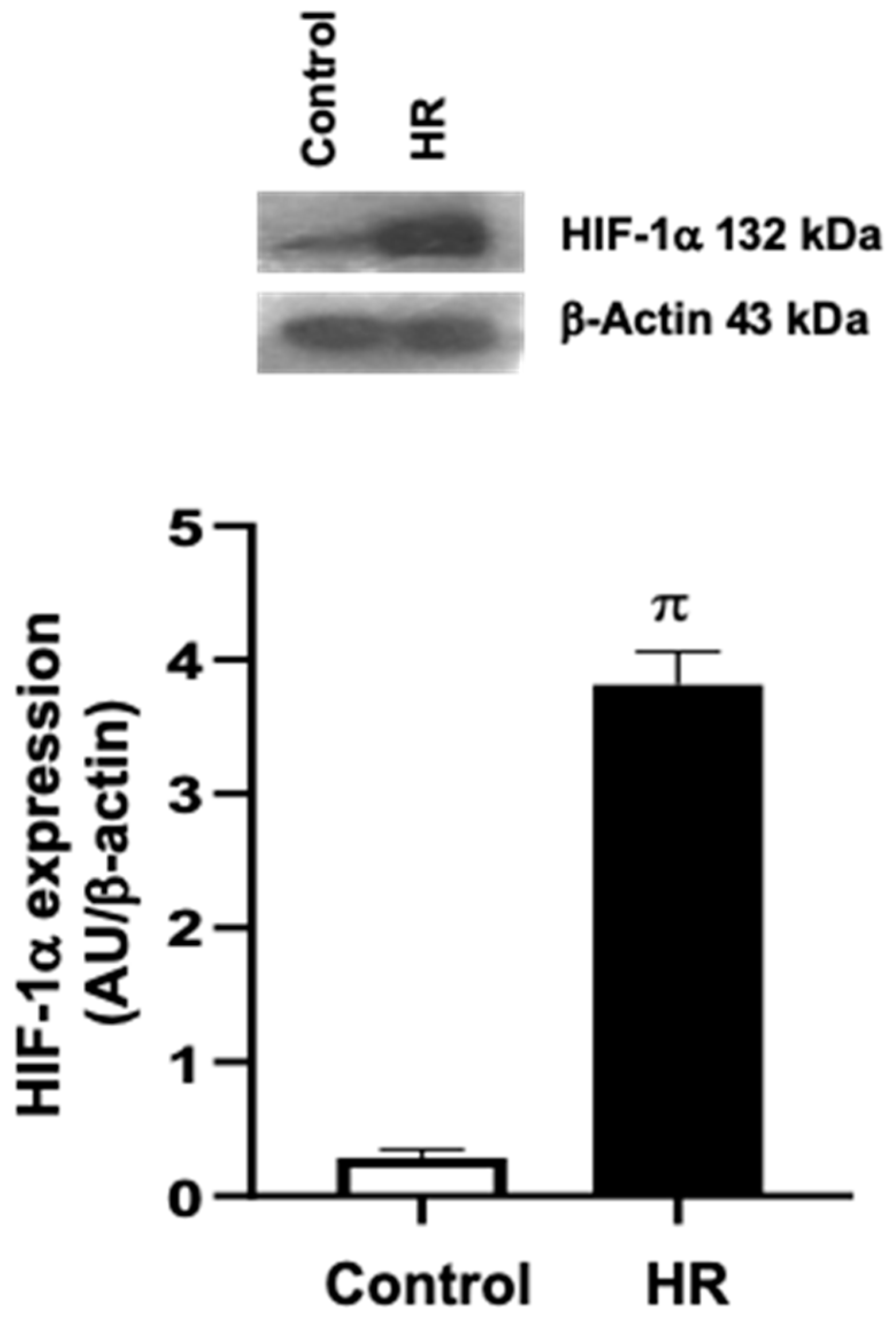 Antioxidants 14 00482 g002