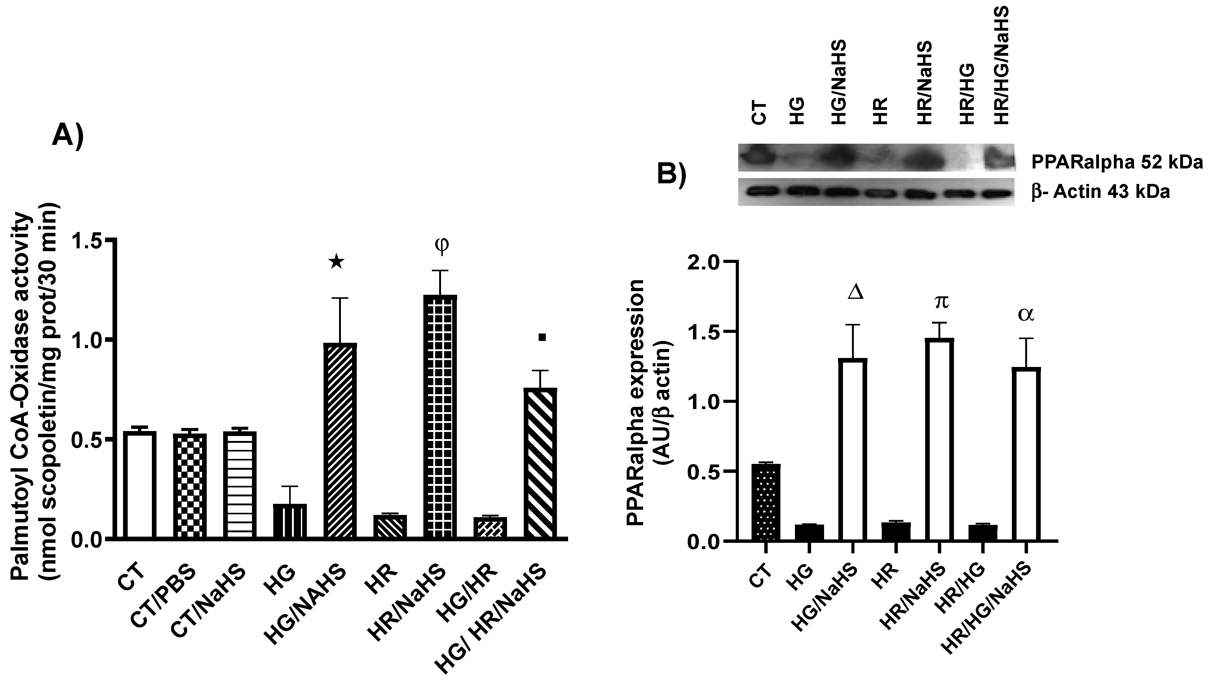 Antioxidants 14 00482 g007