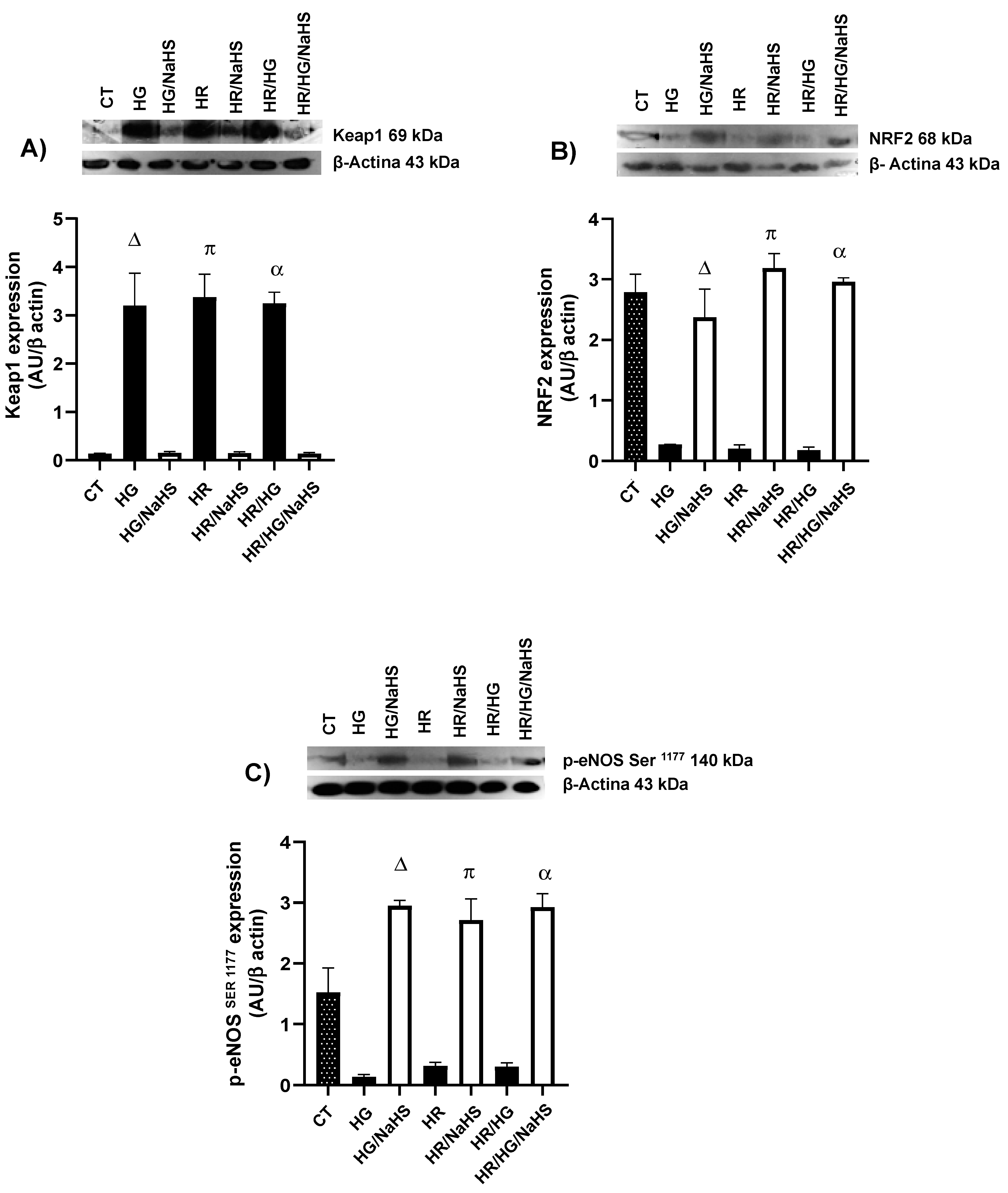 Antioxidants 14 00482 g009