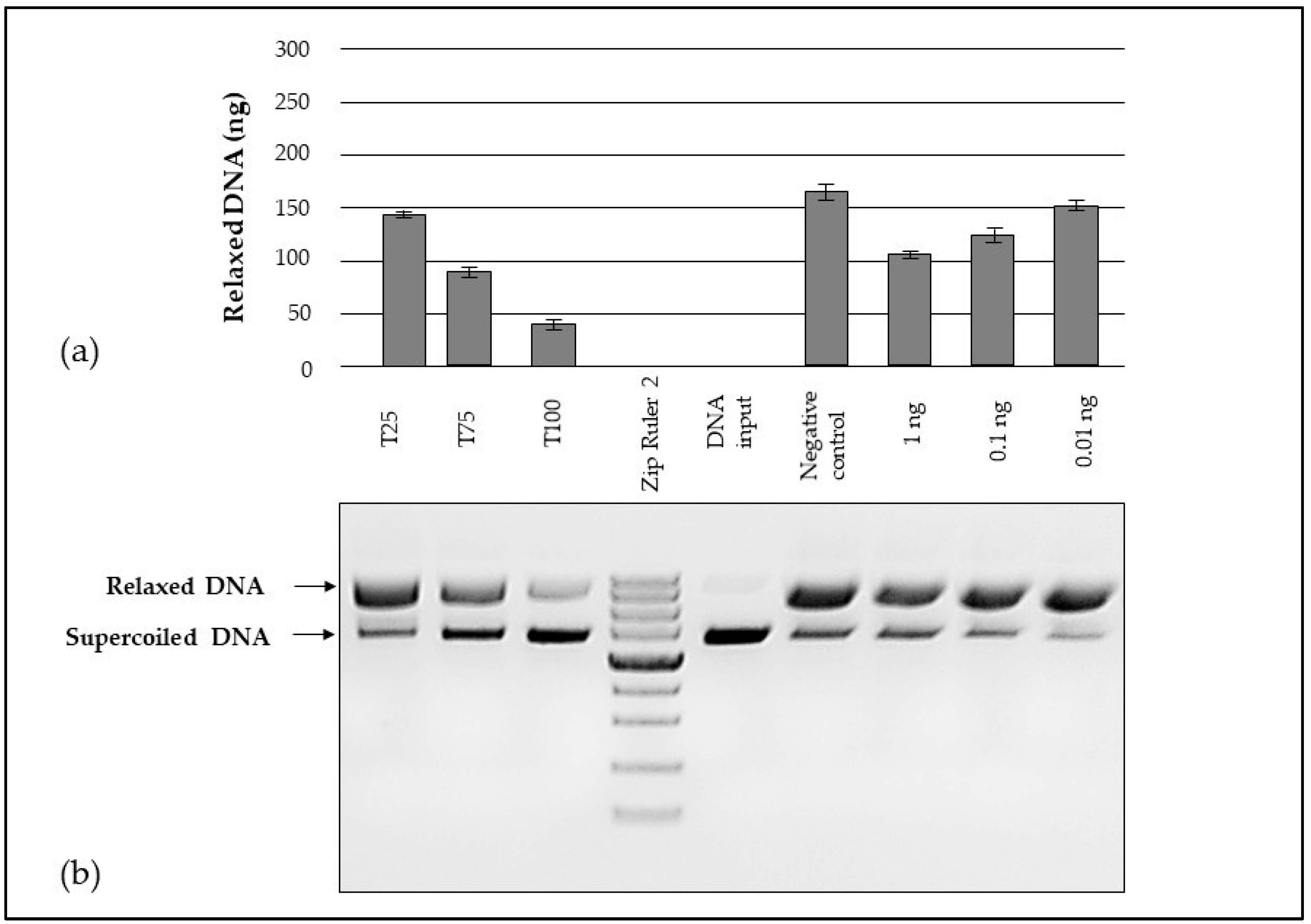 Antioxidants 14 00487 g004