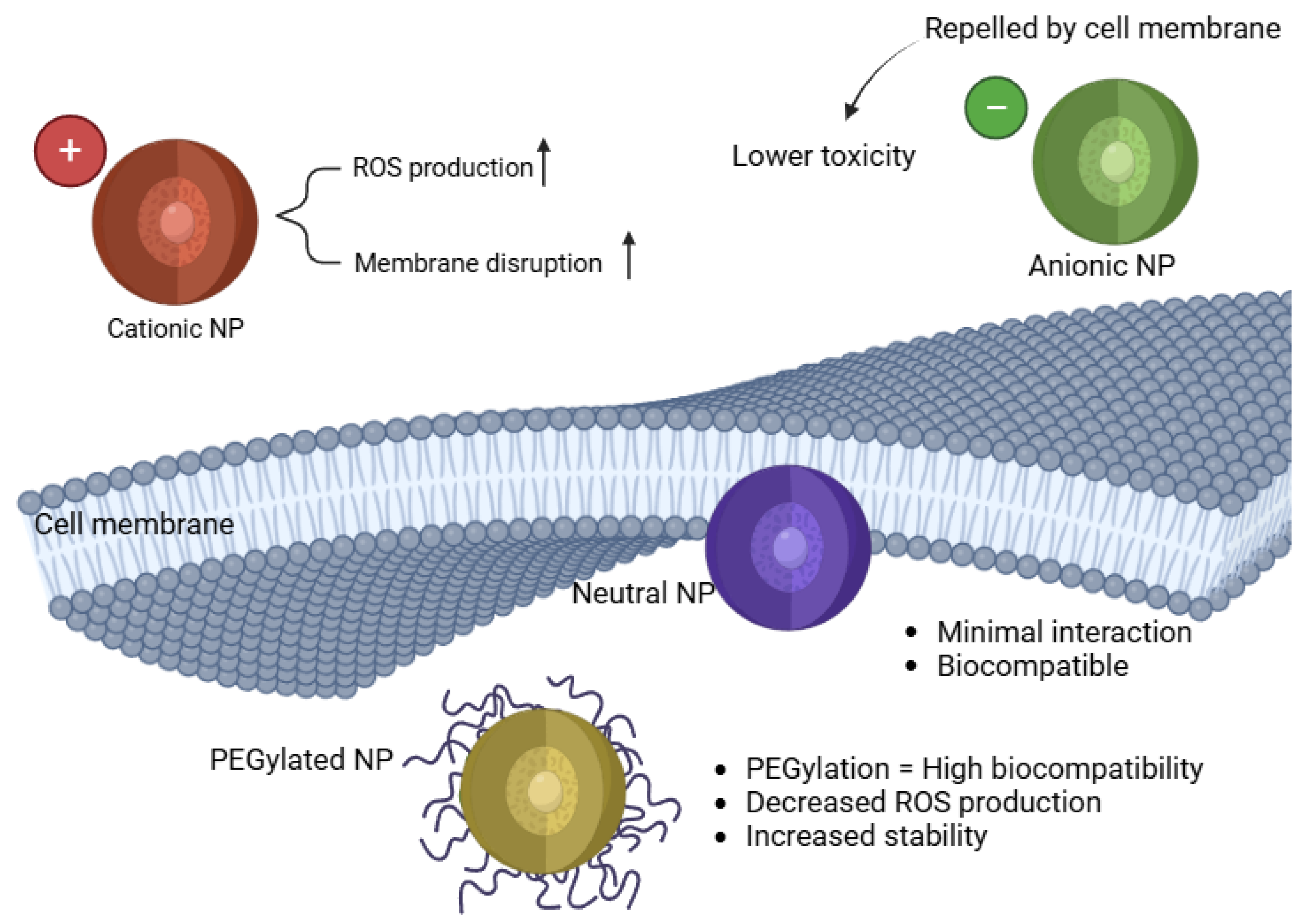 Antioxidants 14 00489 g002