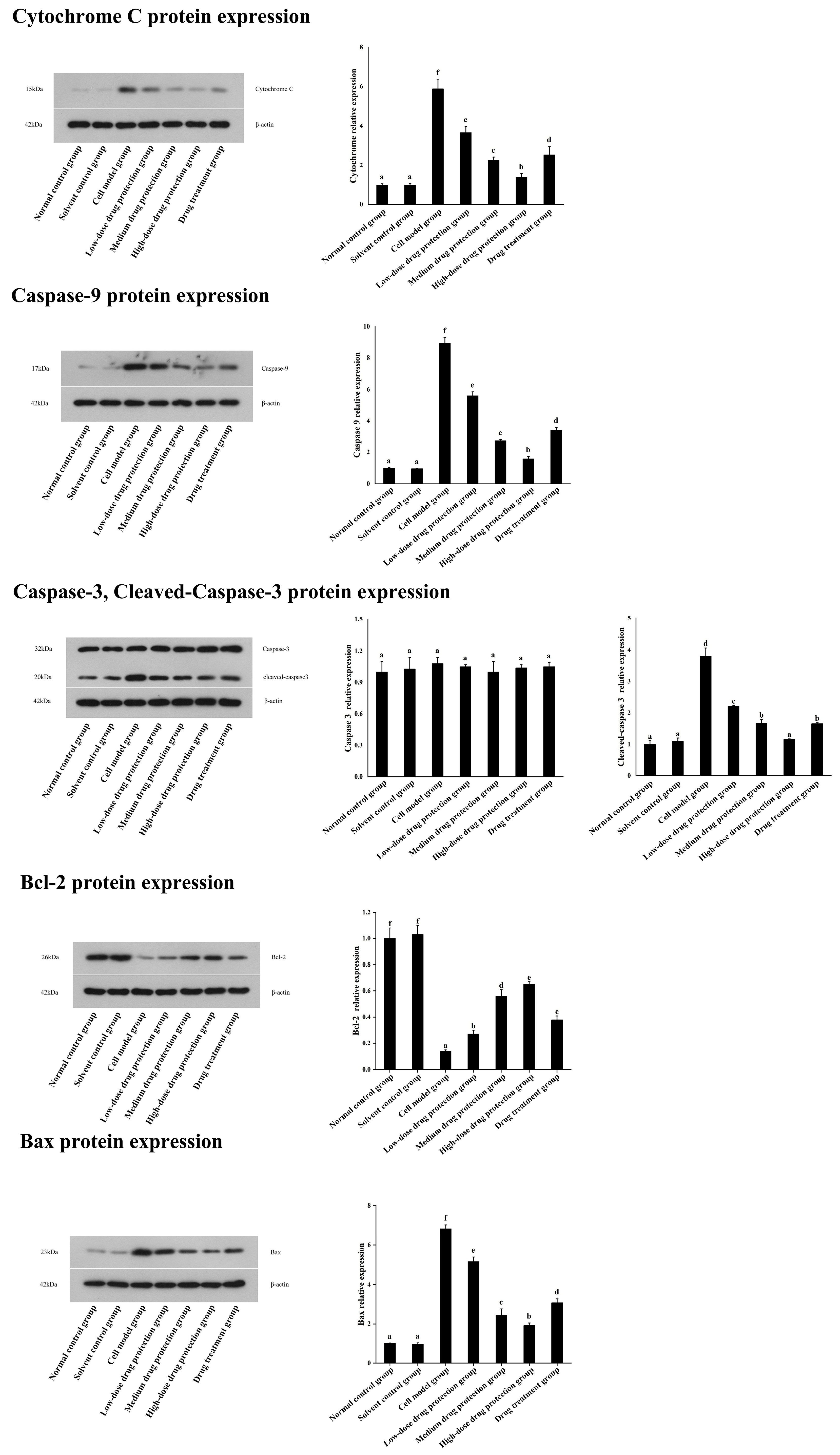 Antioxidants 14 00490 g009