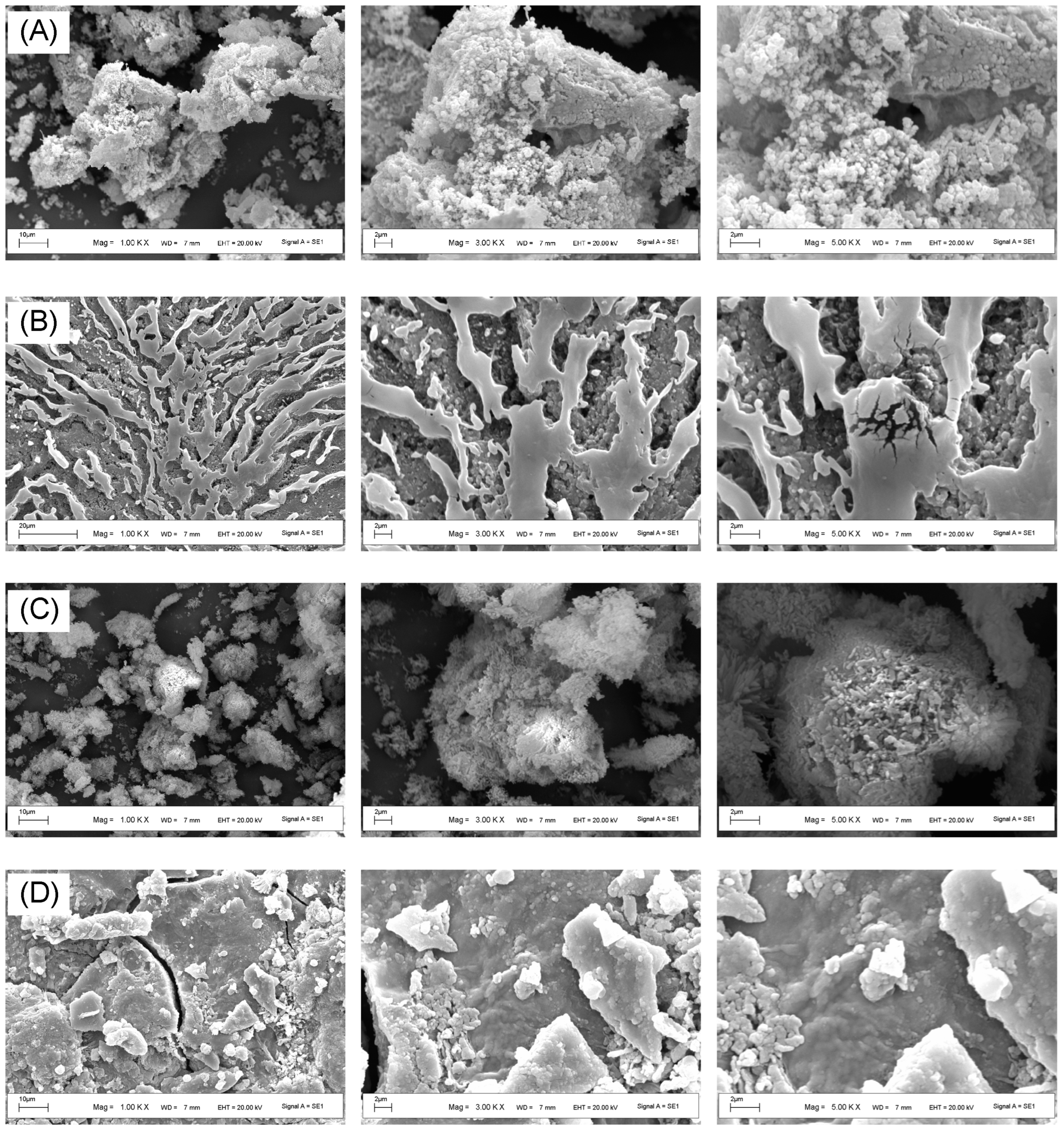 Antioxidants 14 00491 g007