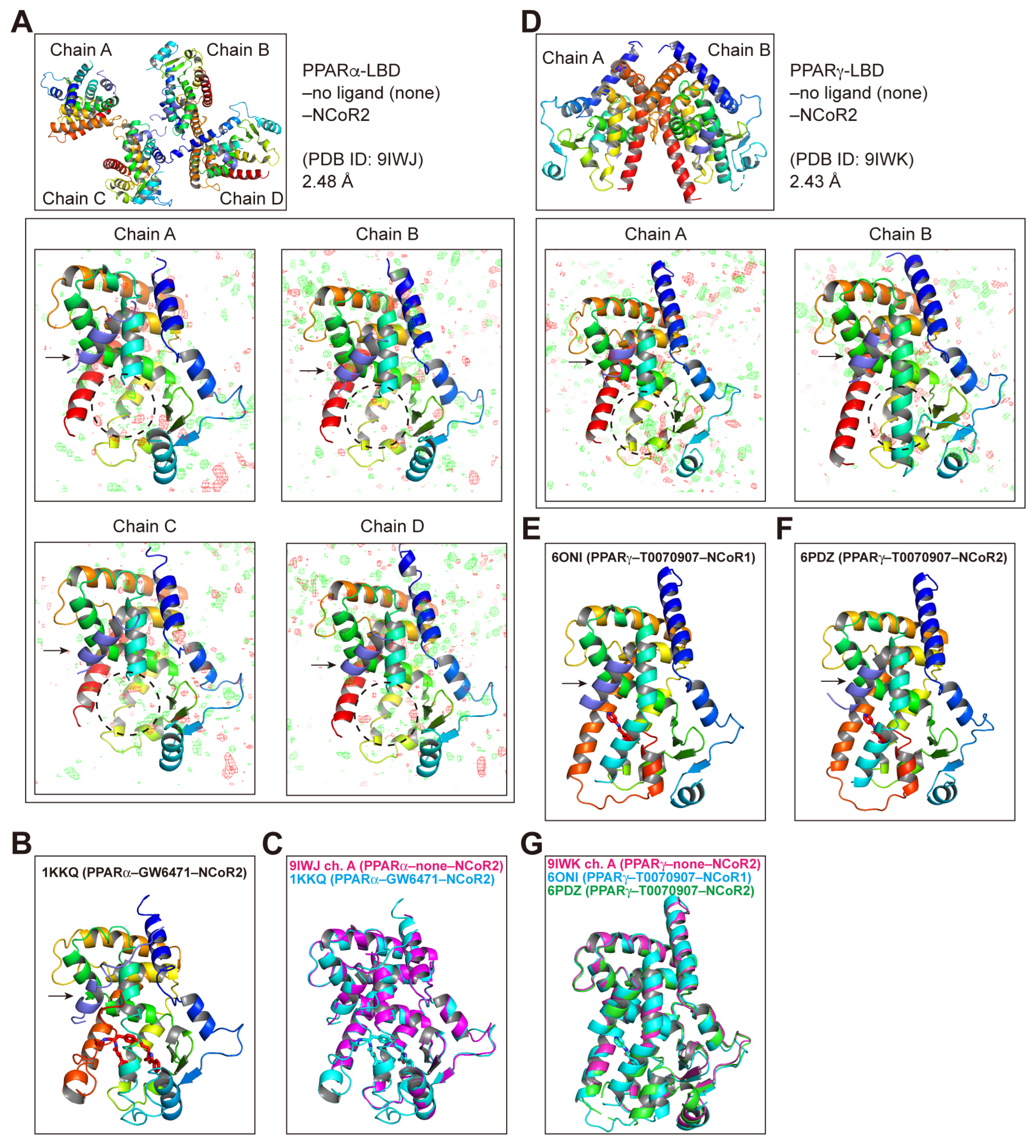 Antioxidants 14 00494 g006