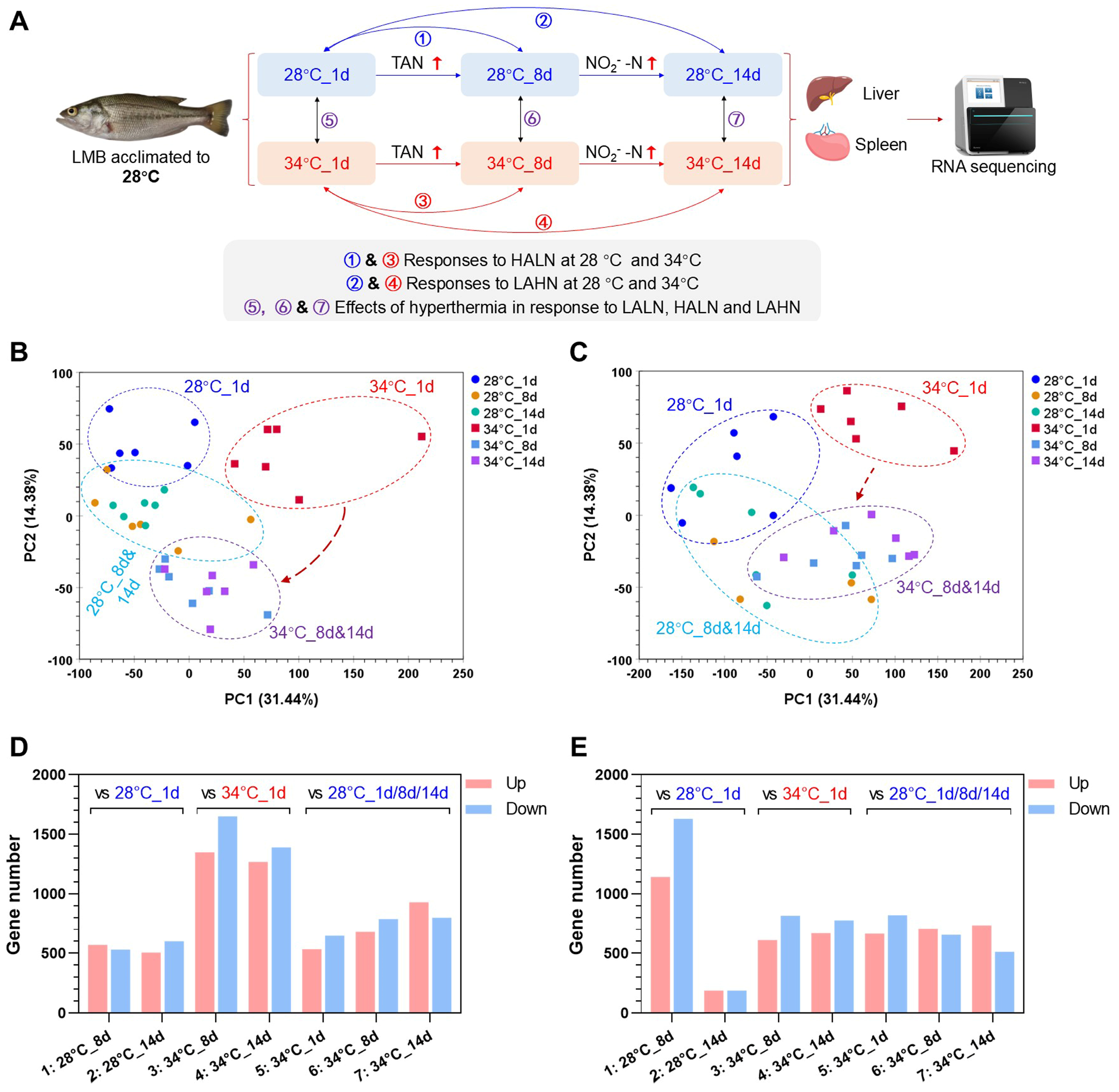 Antioxidants 14 00495 g005