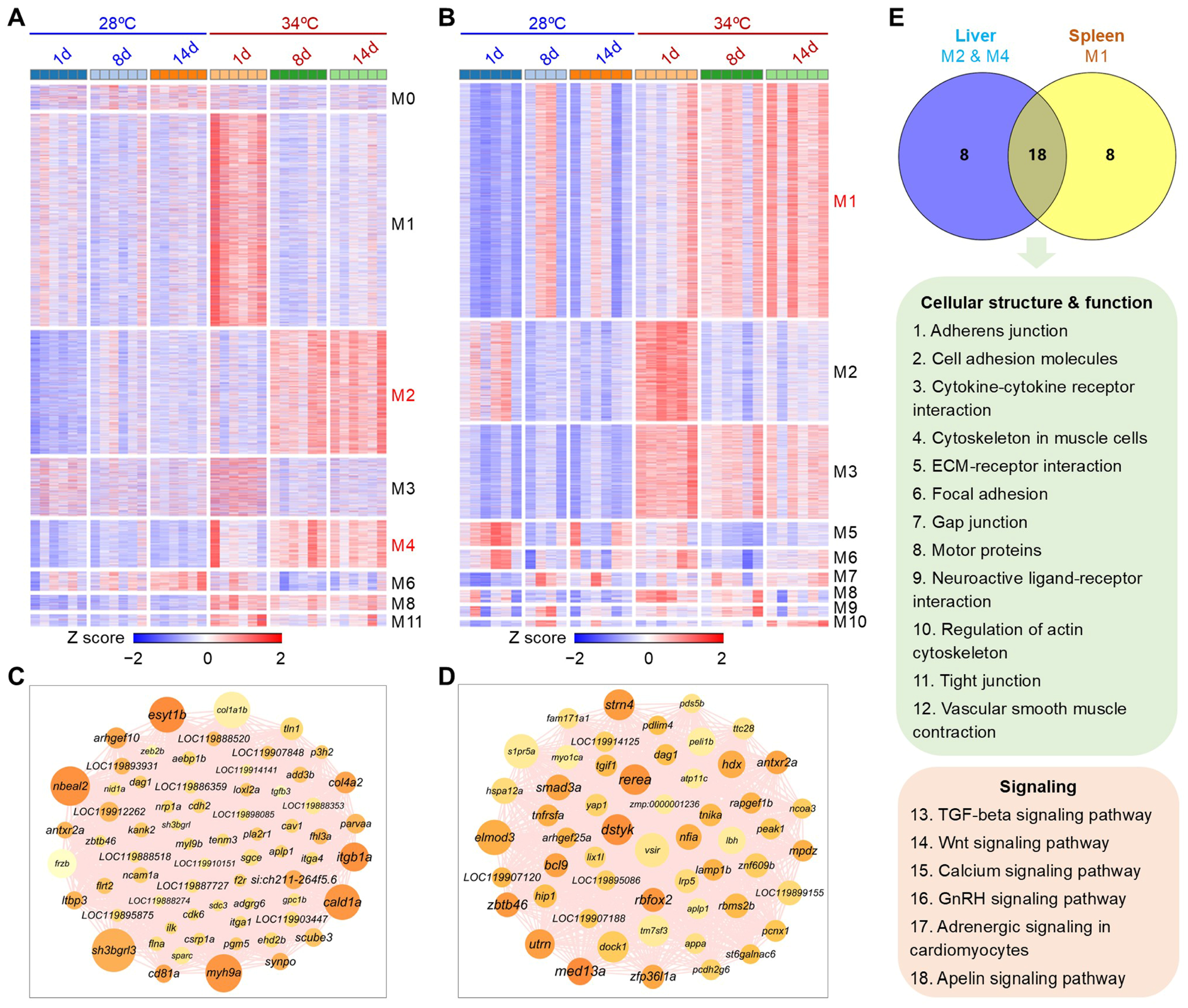 Antioxidants 14 00495 g007
