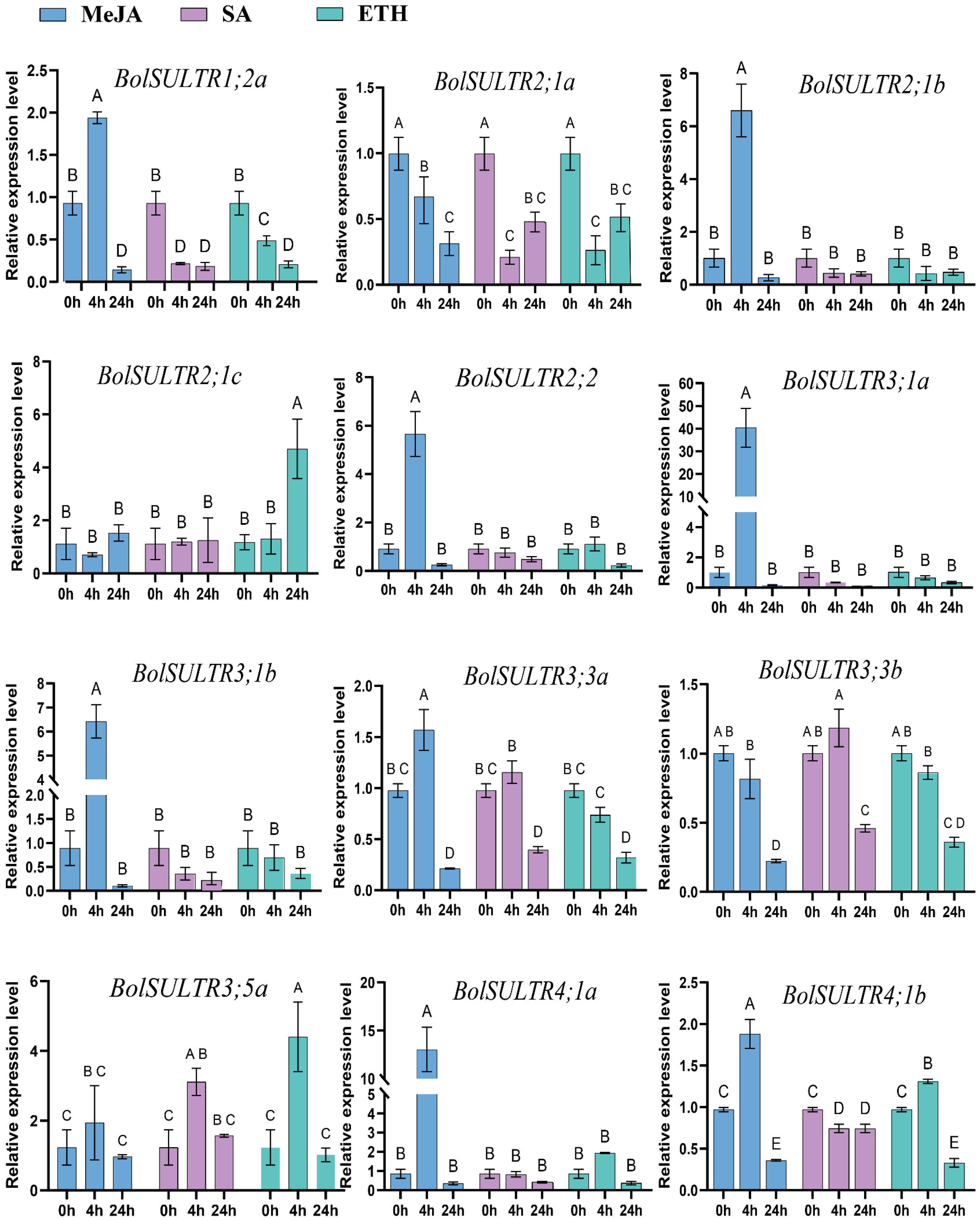Antioxidants 14 00496 g007