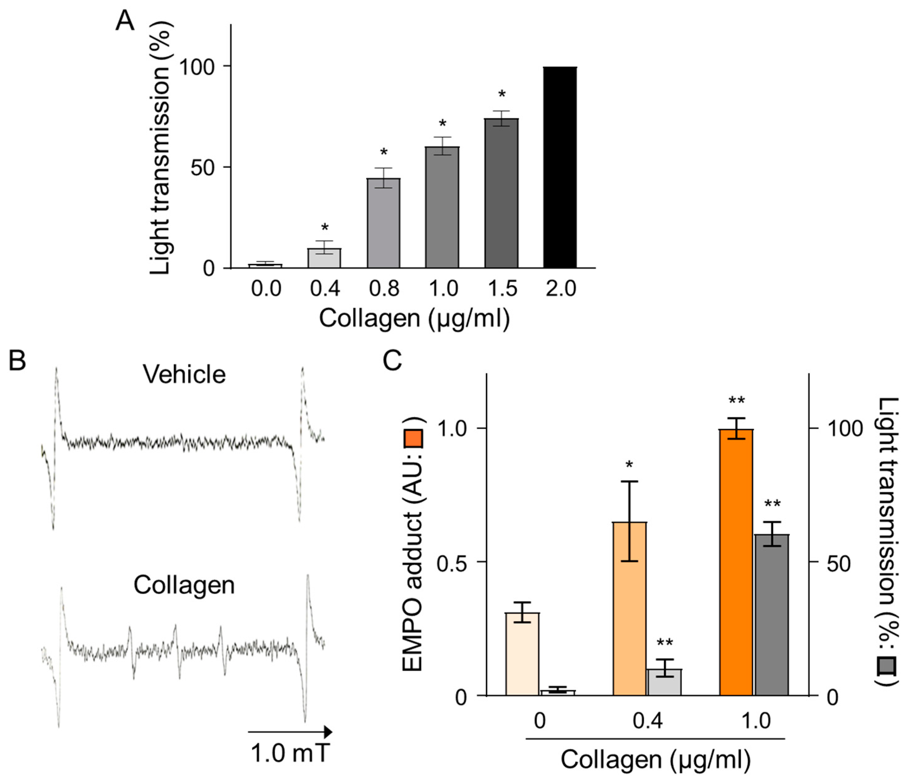 Antioxidants 14 00497 g001