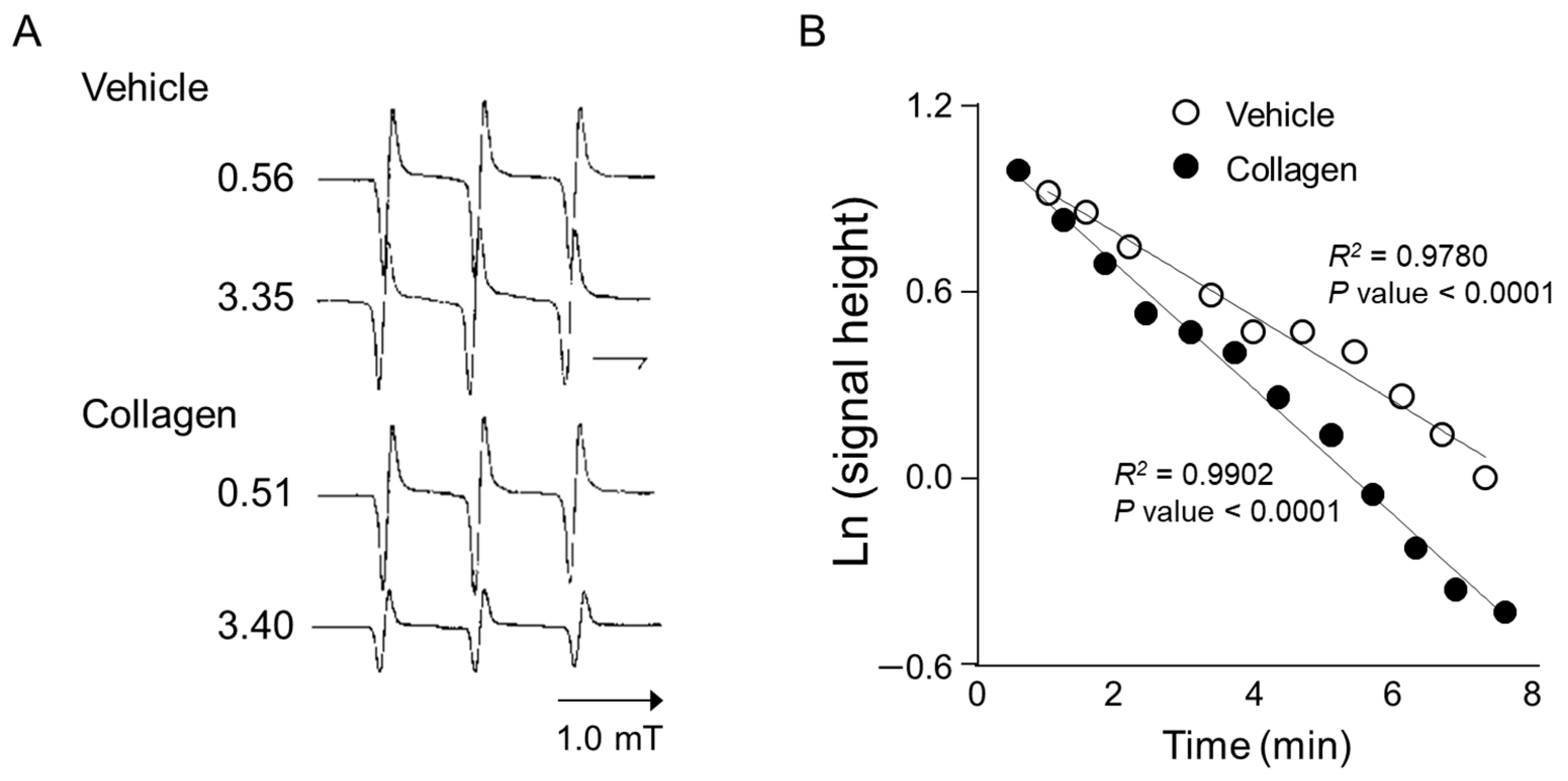 Antioxidants 14 00497 g002