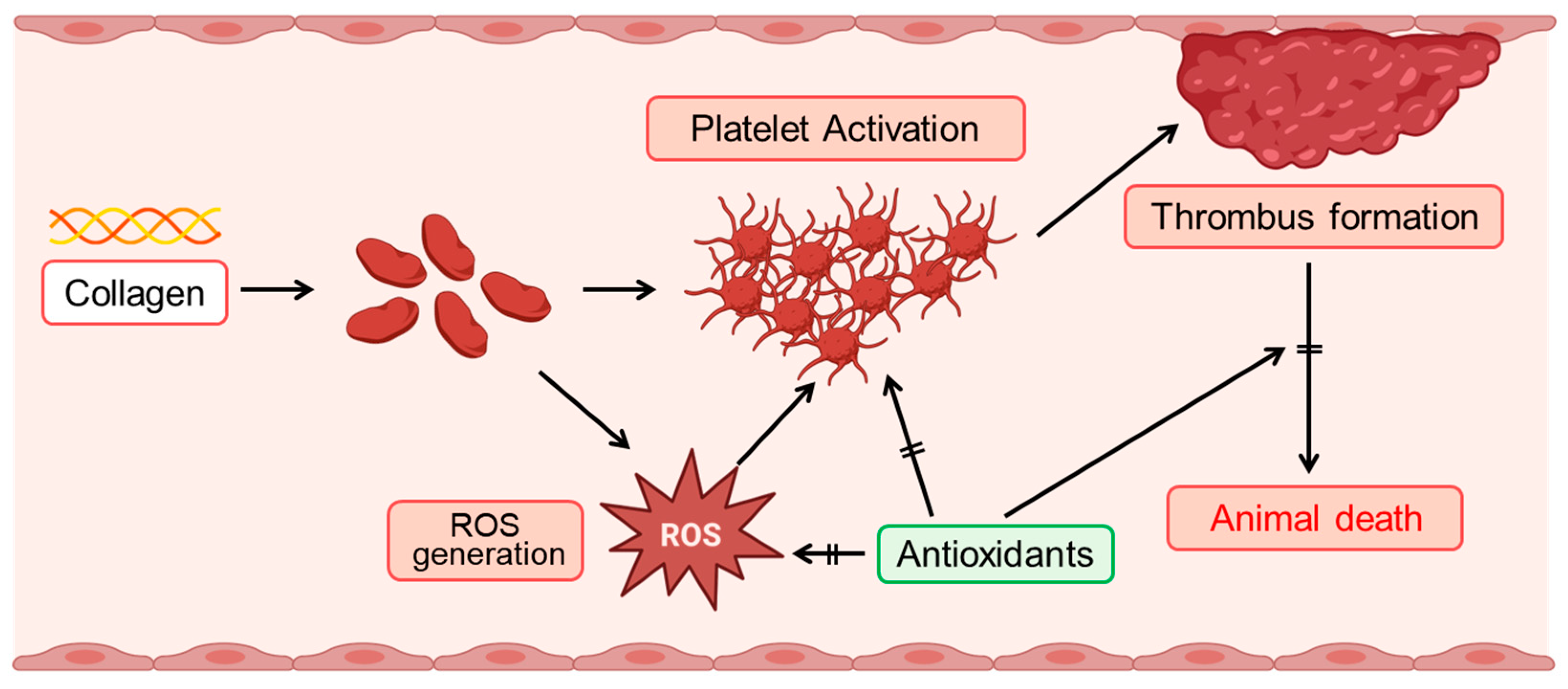 Antioxidants 14 00497 g006