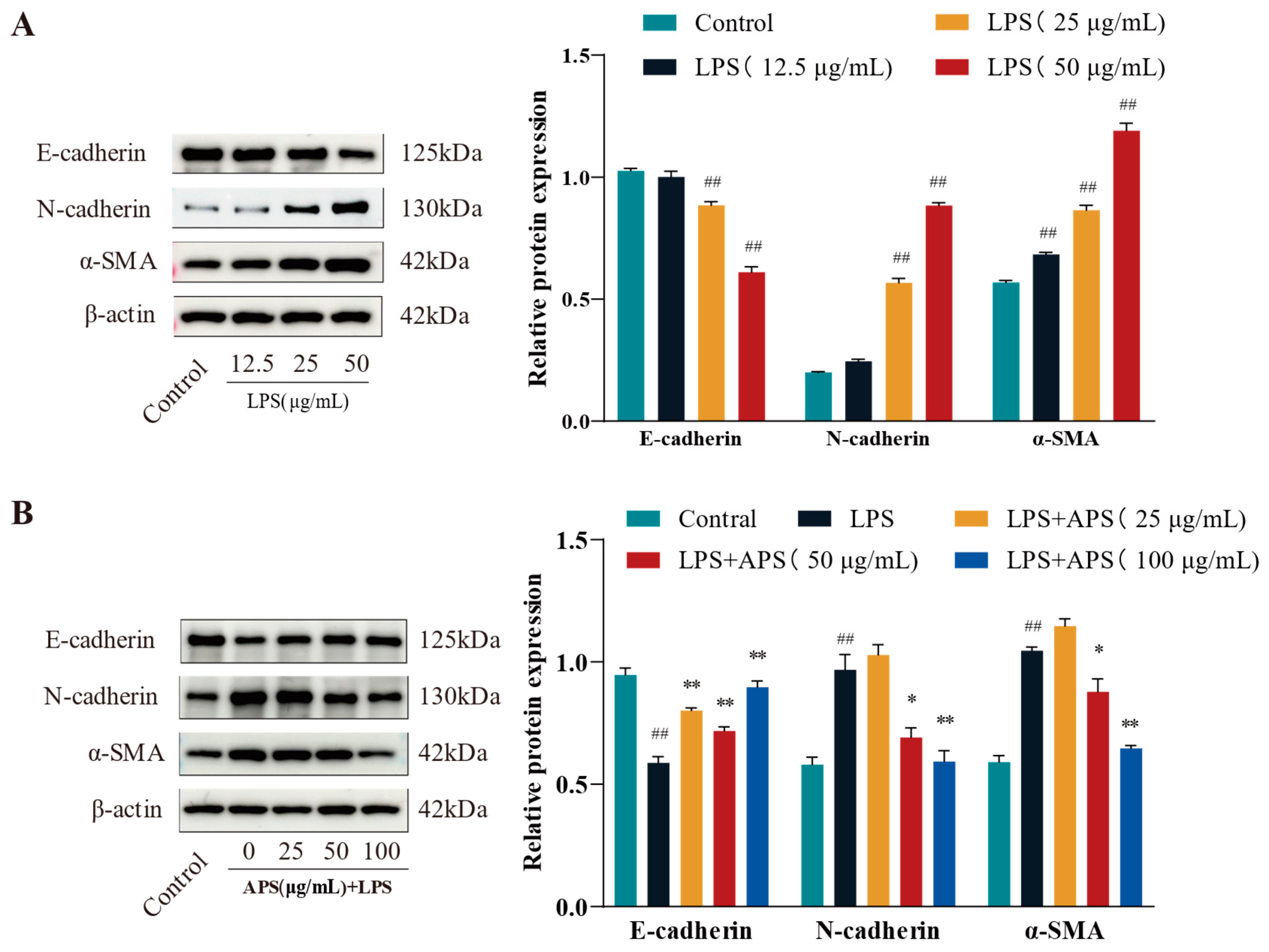 Antioxidants 14 00503 g002