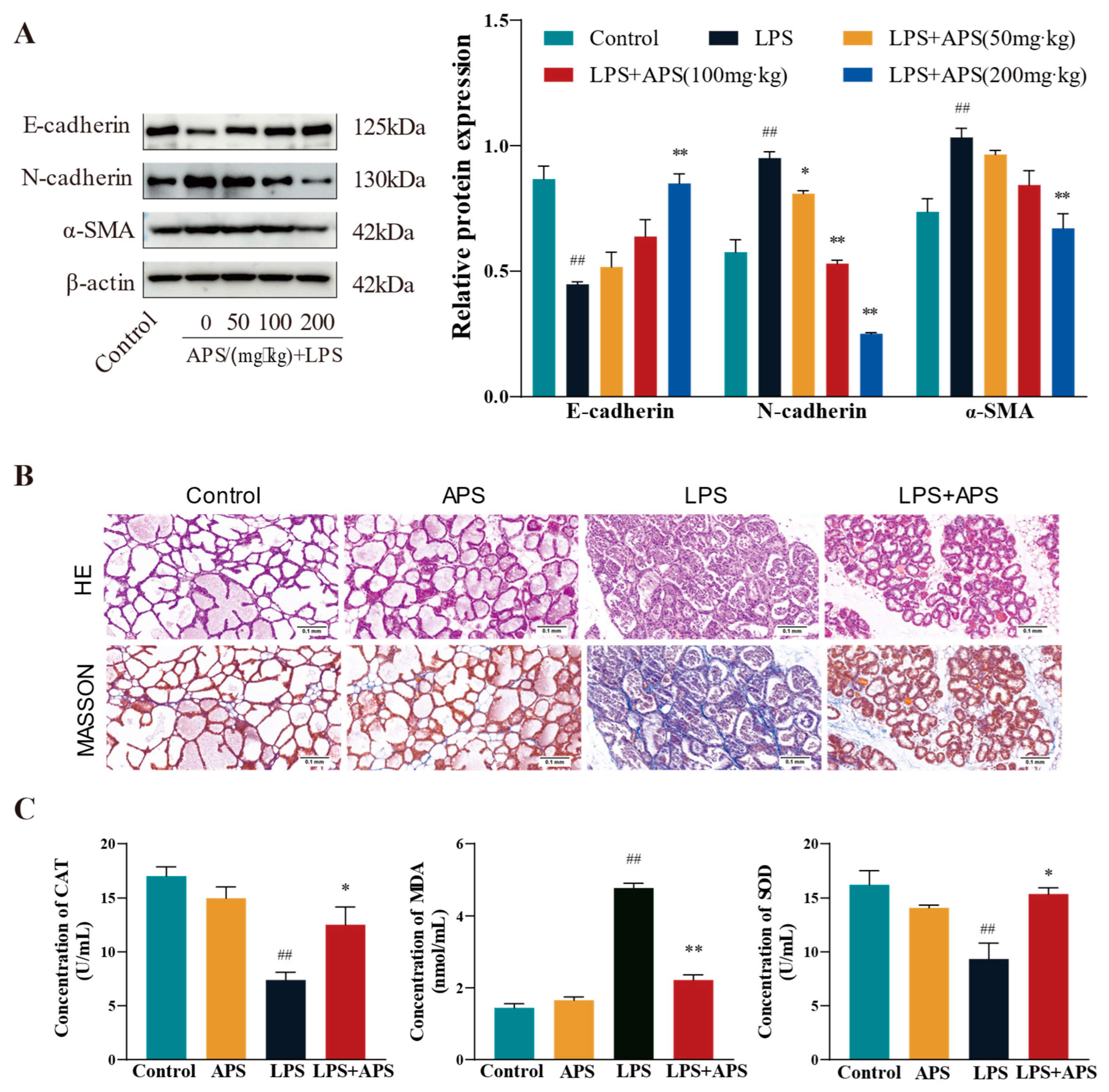 Antioxidants 14 00503 g005