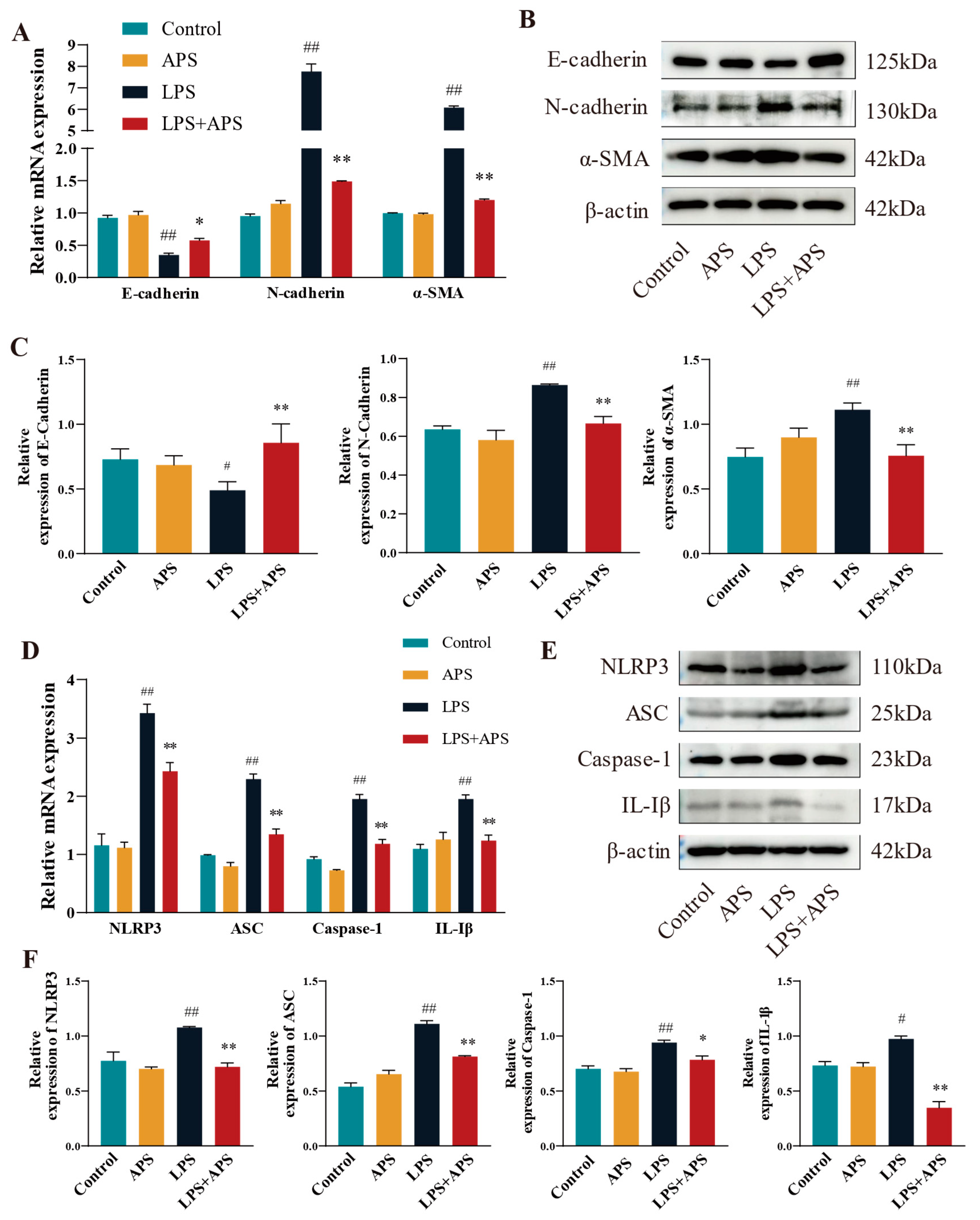 Antioxidants 14 00503 g006