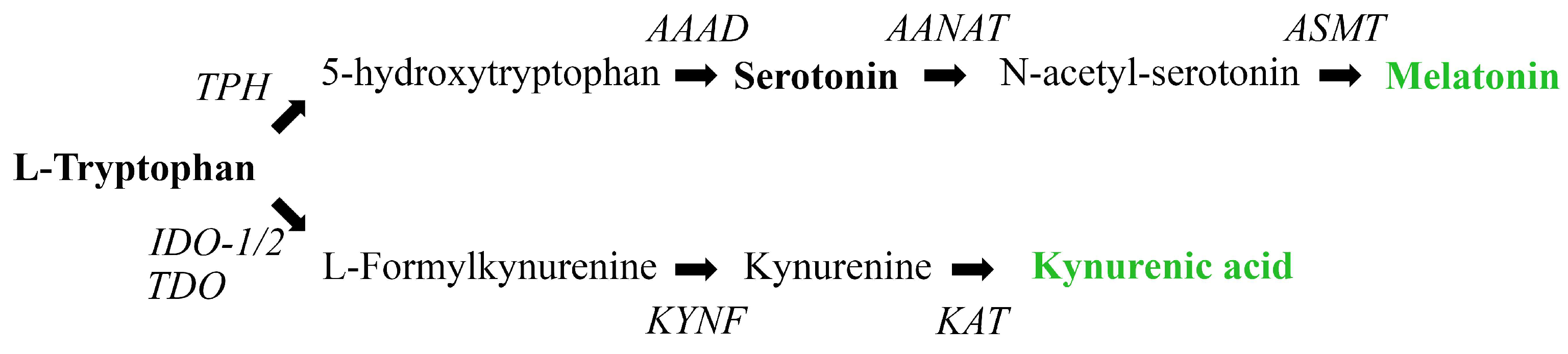 Antioxidants 14 00504 g005