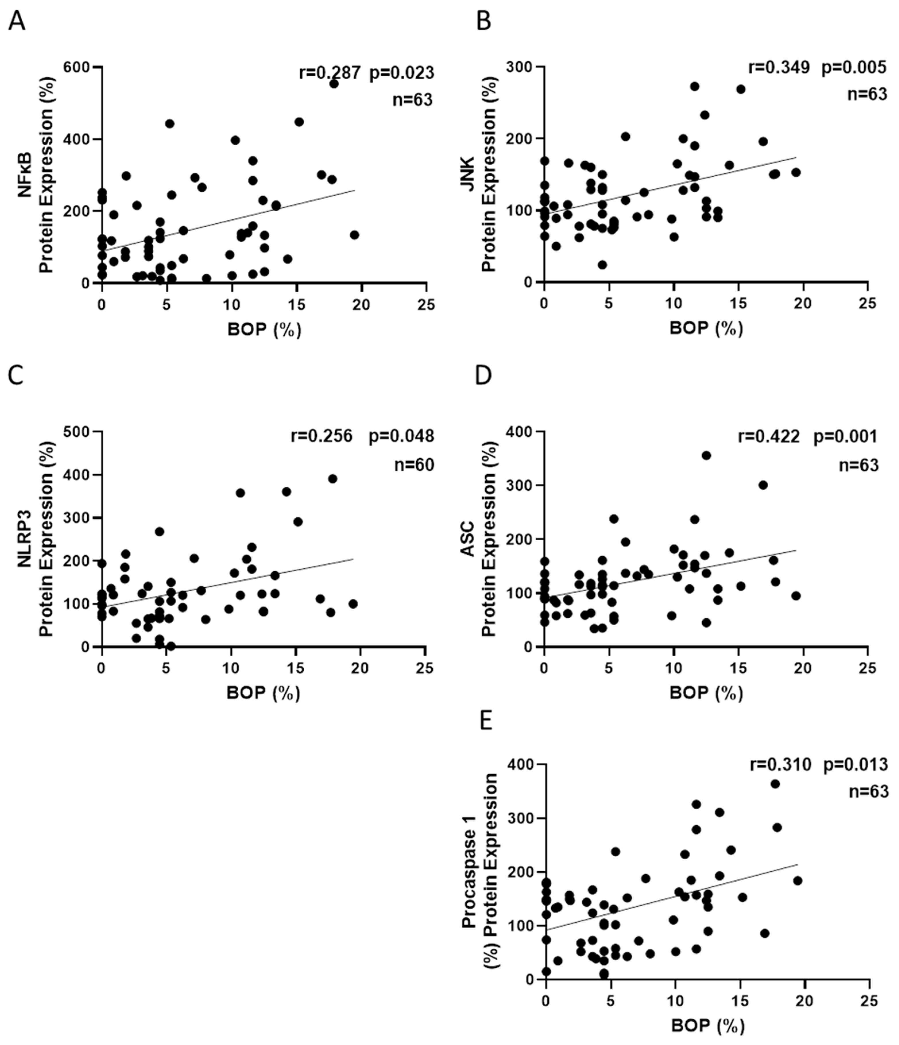 Antioxidants 14 00507 g004