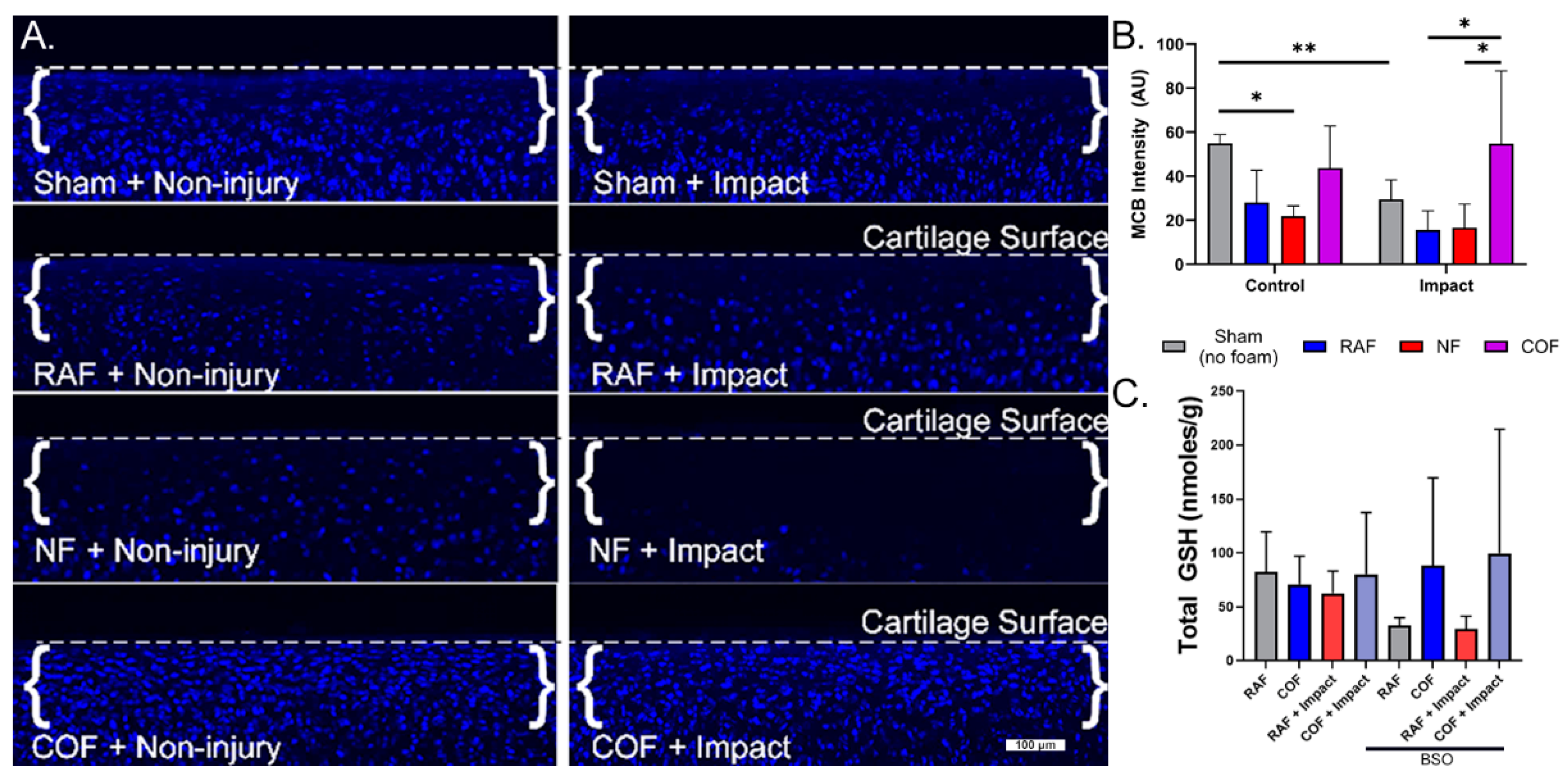 Antioxidants 14 00514 g002