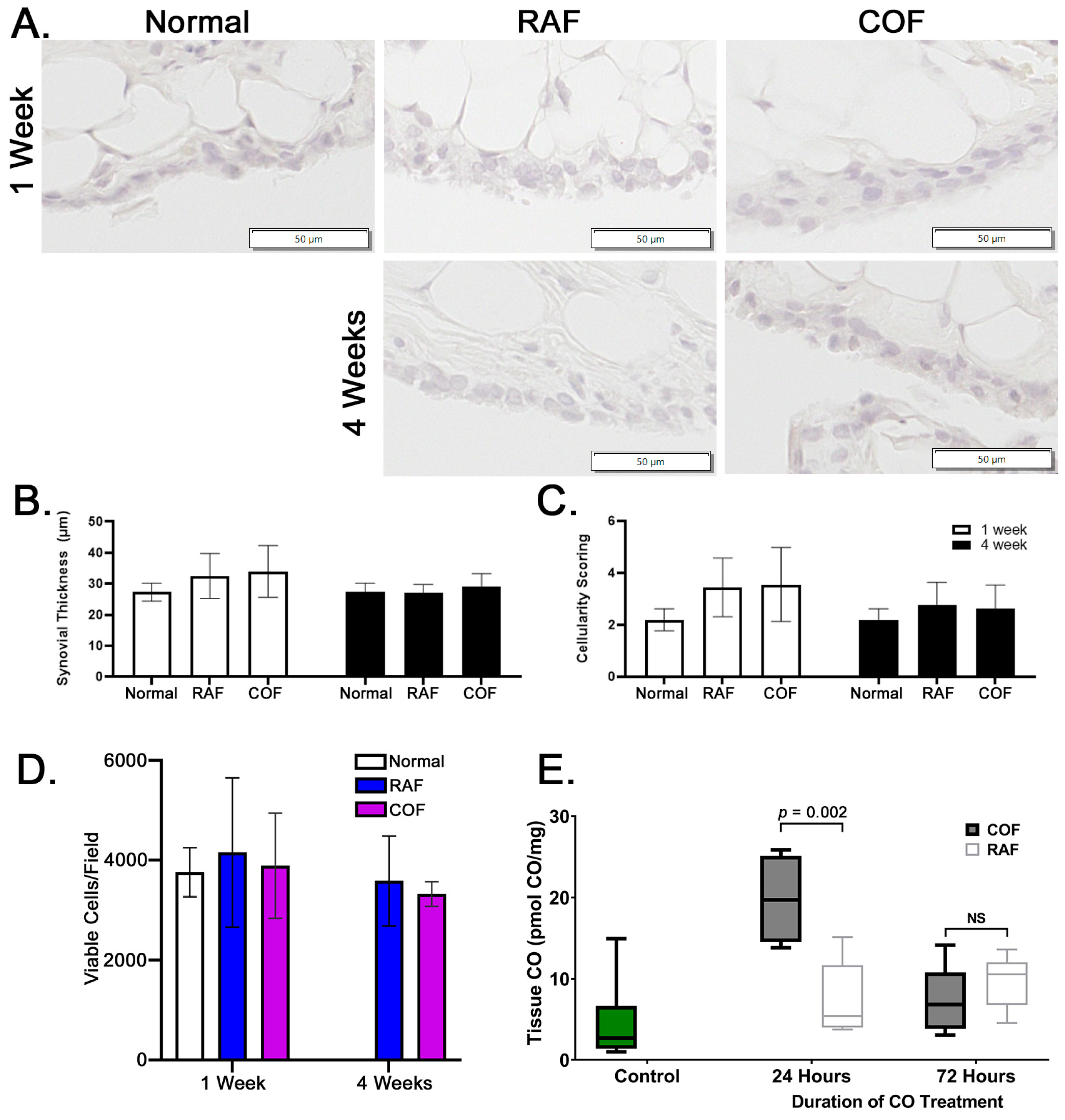 Antioxidants 14 00514 g005