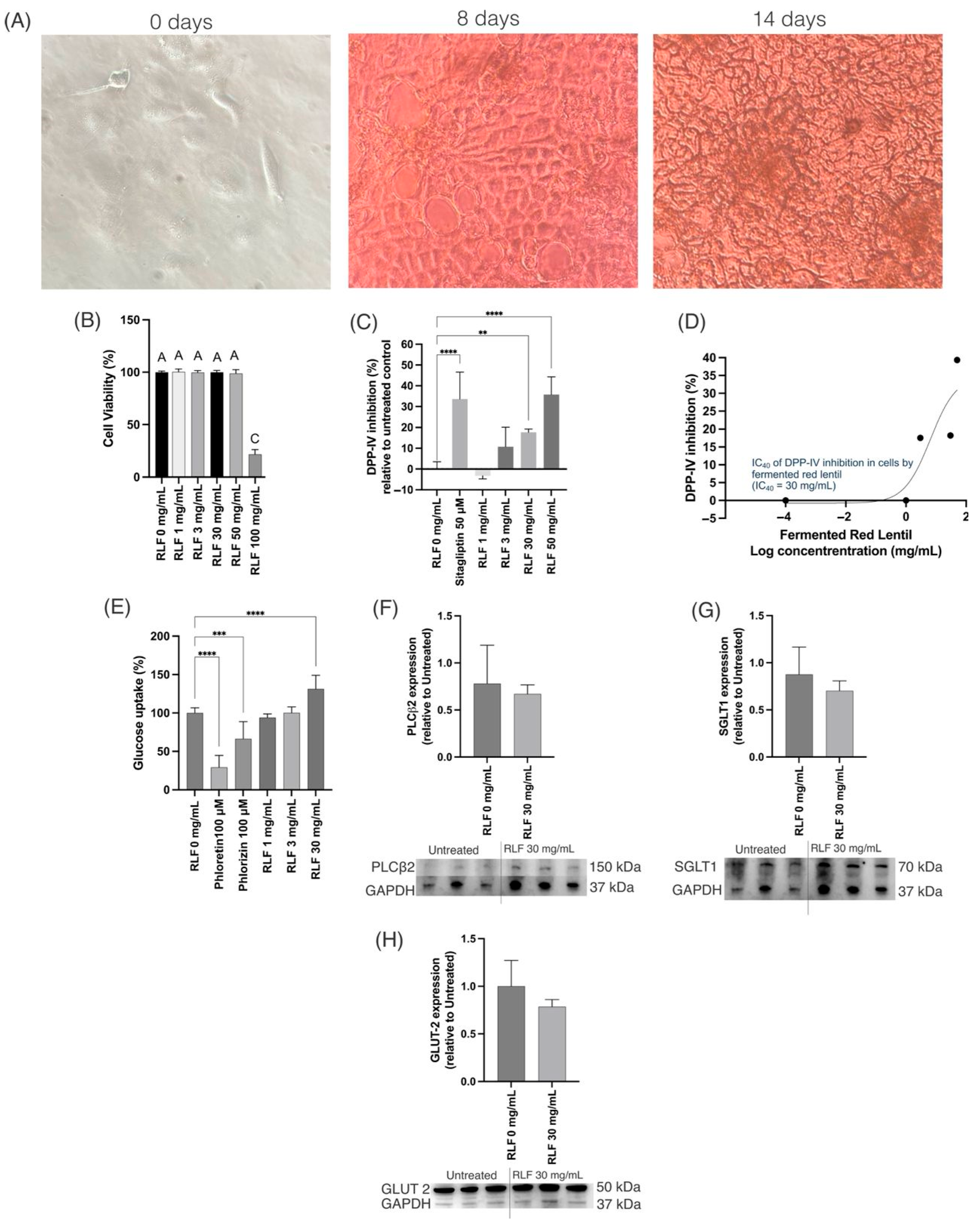 Antioxidants 14 00523 g008