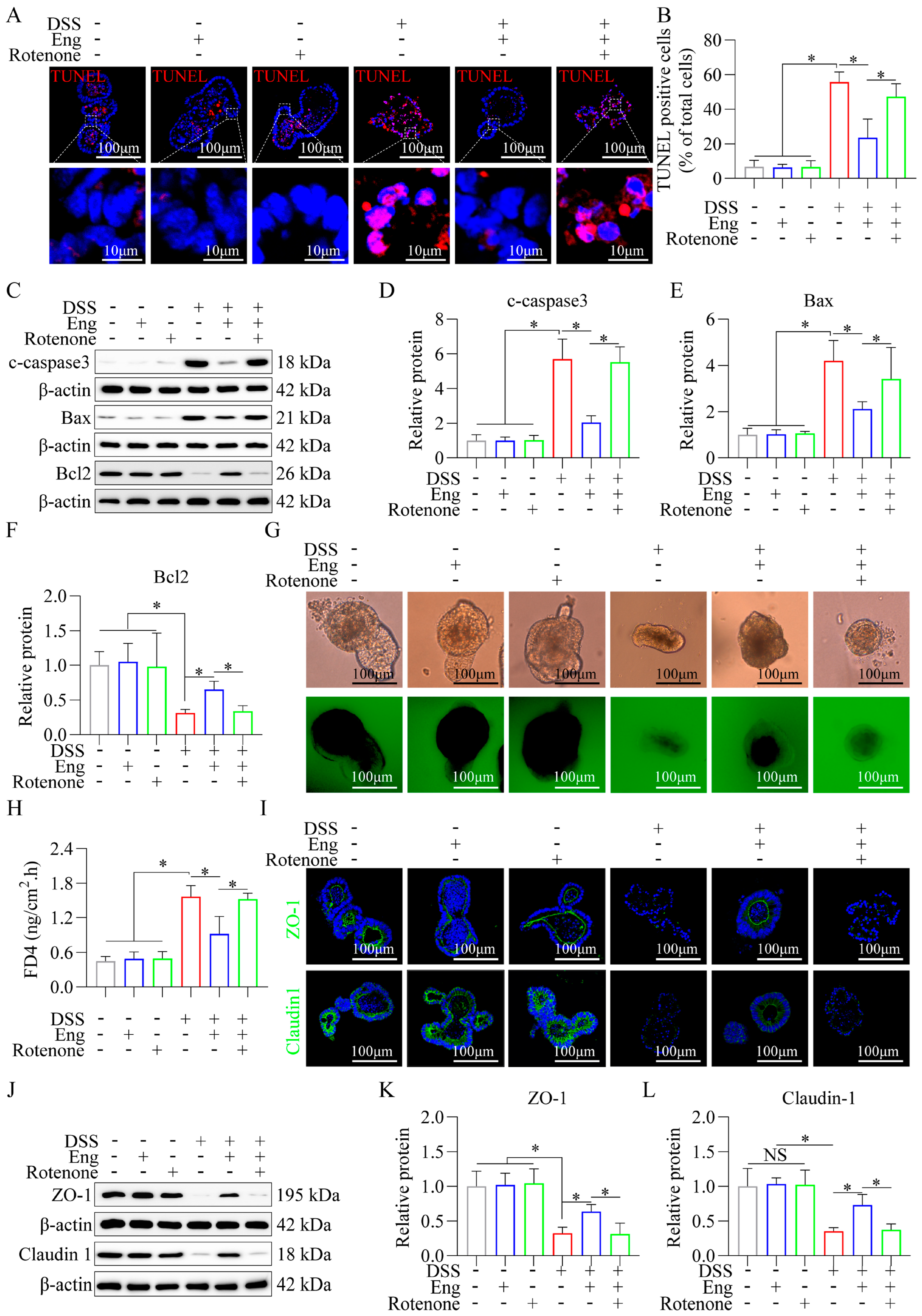 Antioxidants 14 00524 g006