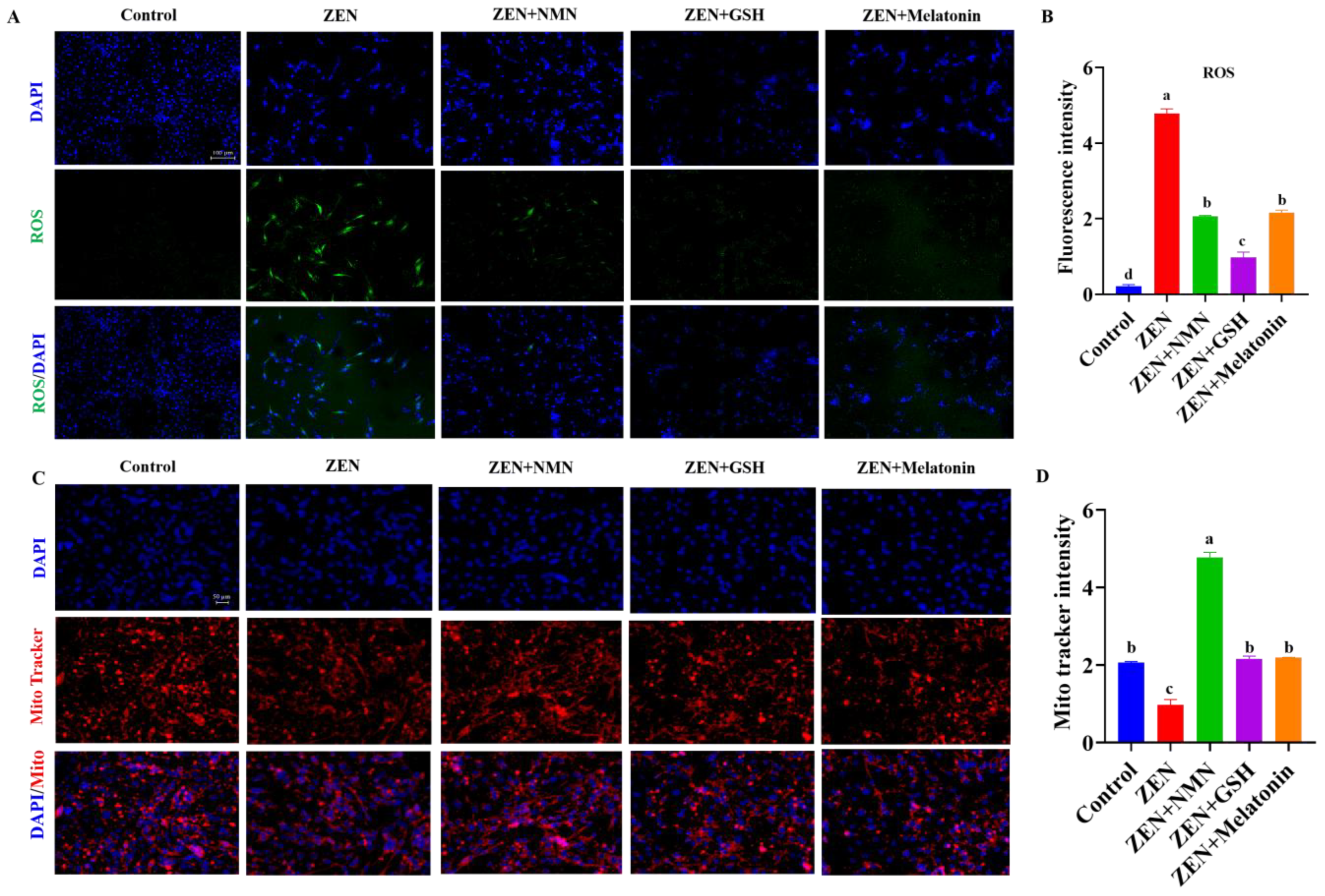Antioxidants 14 00528 g006