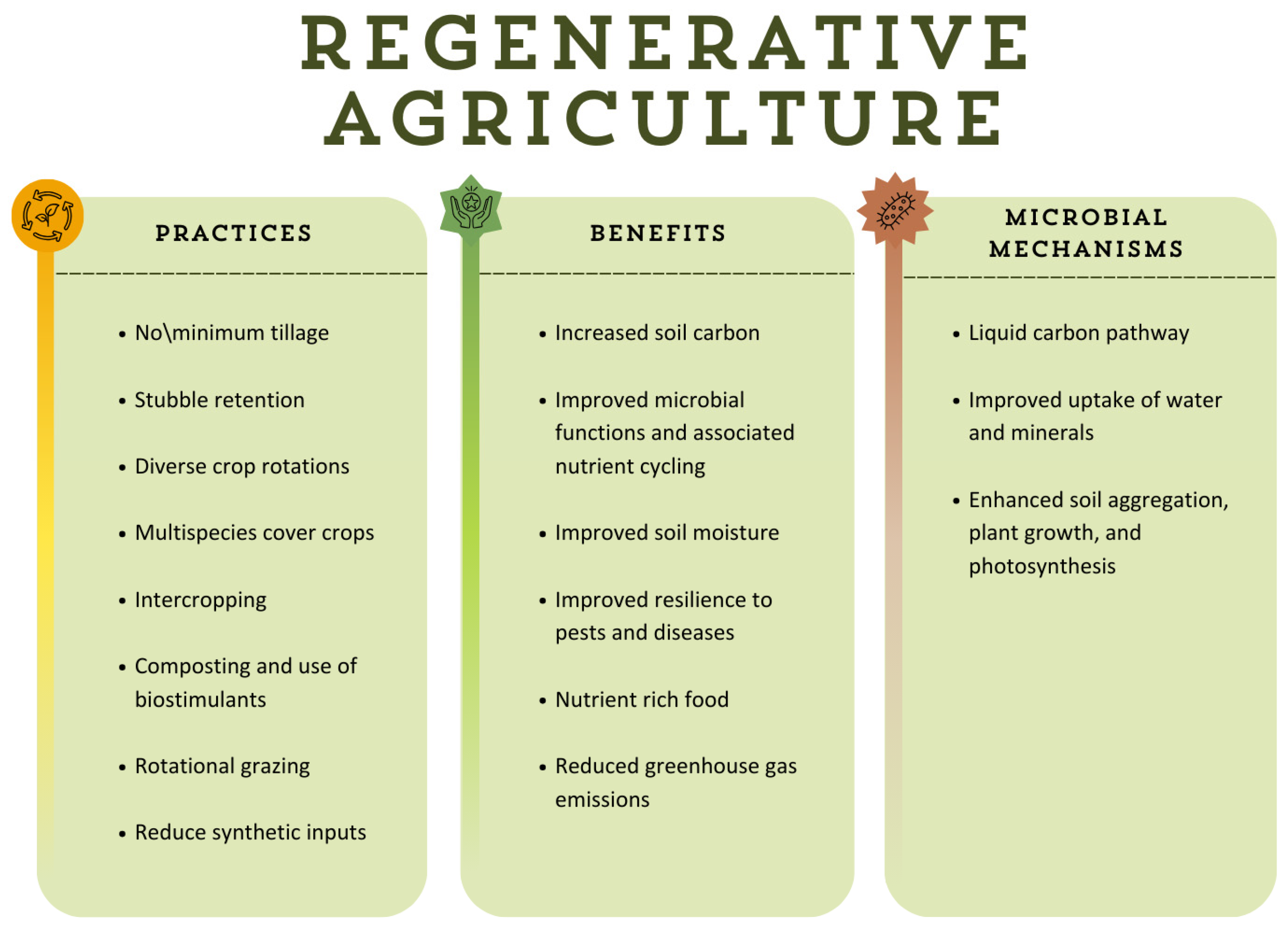 Antioxidants 14 00530 g002