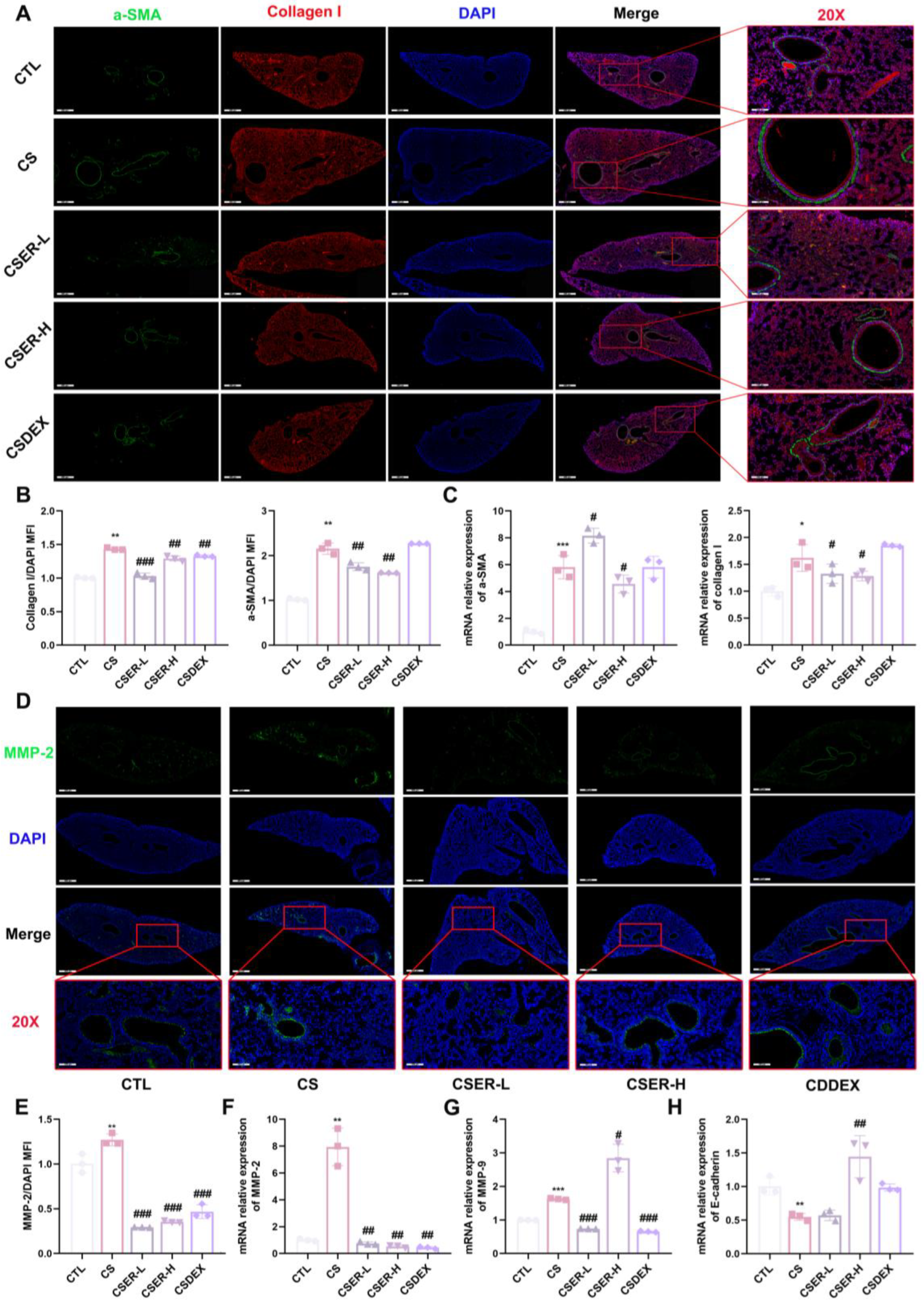 Antioxidants 14 00533 g002