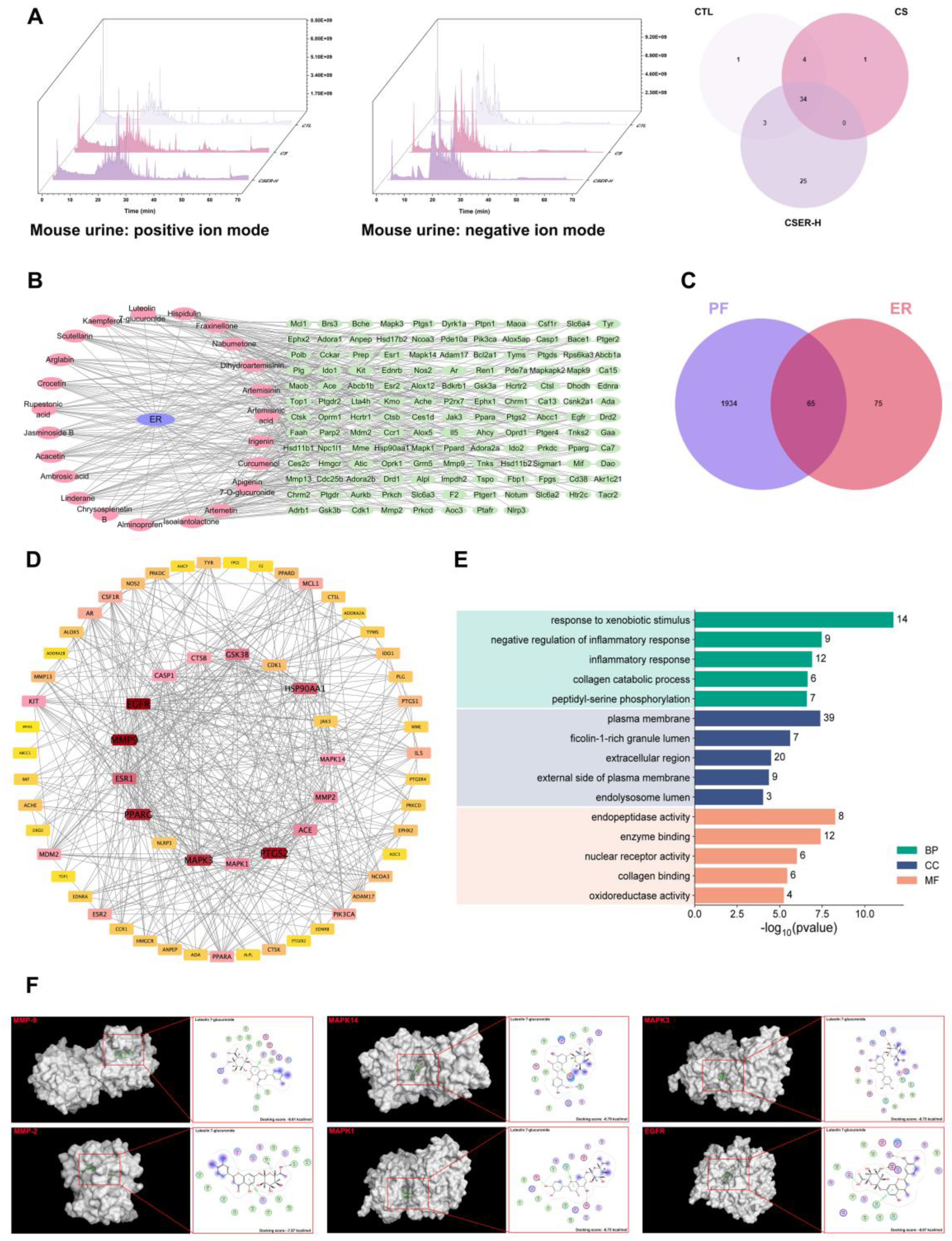 Antioxidants 14 00533 g005