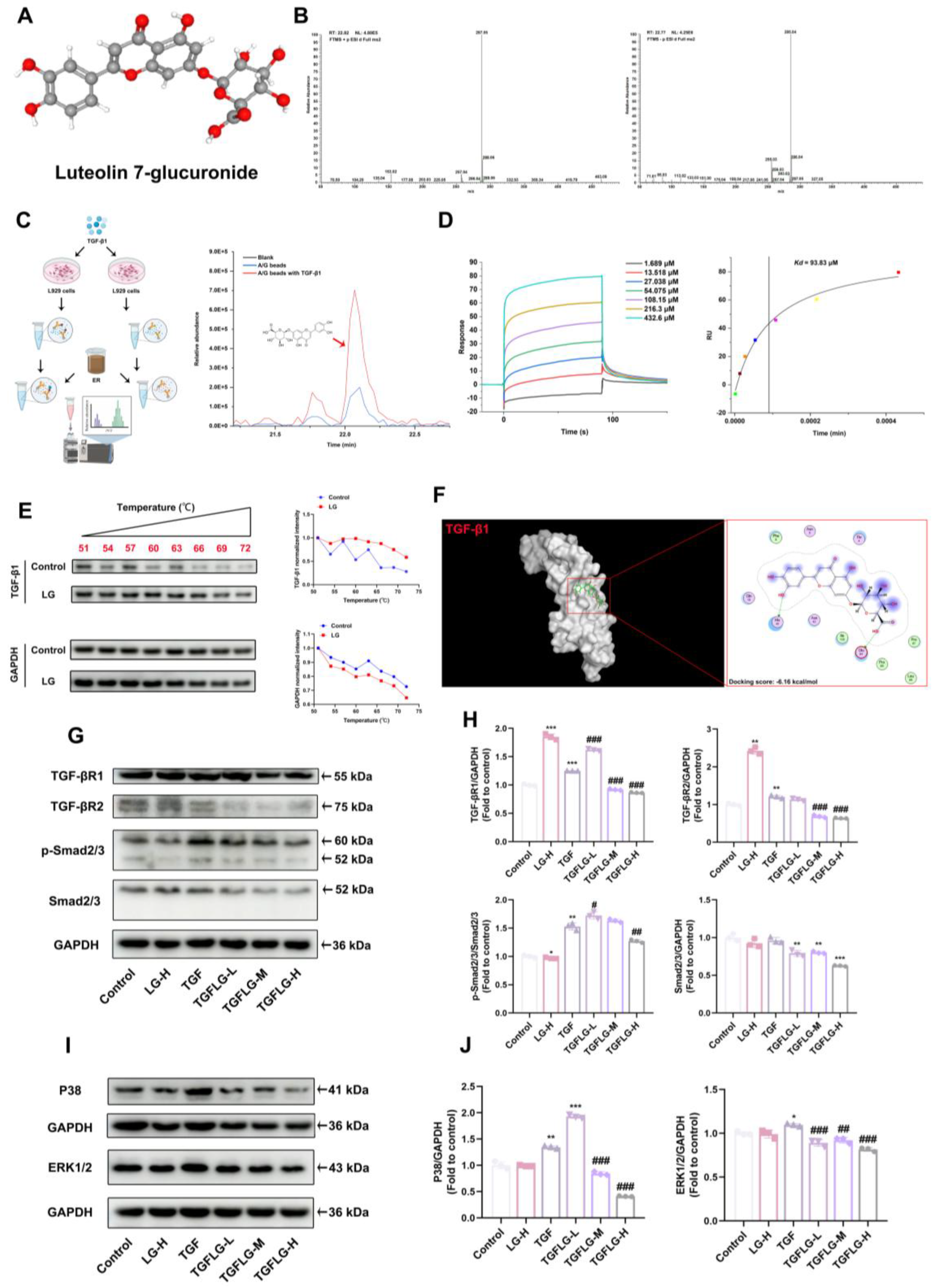 Antioxidants 14 00533 g006