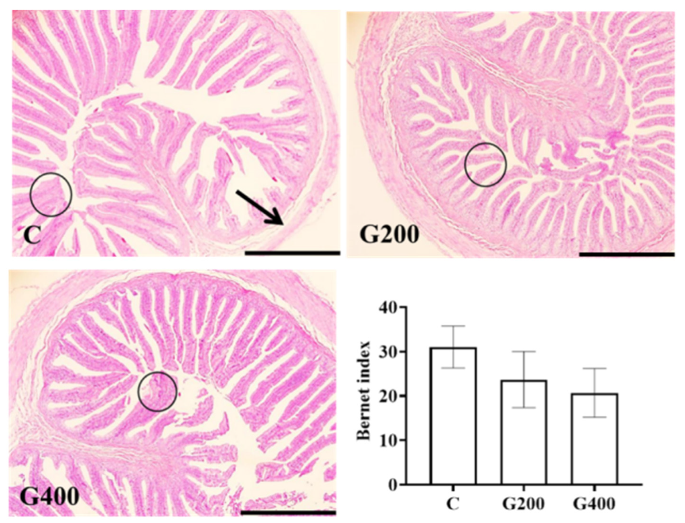 Antioxidants 14 00534 g005