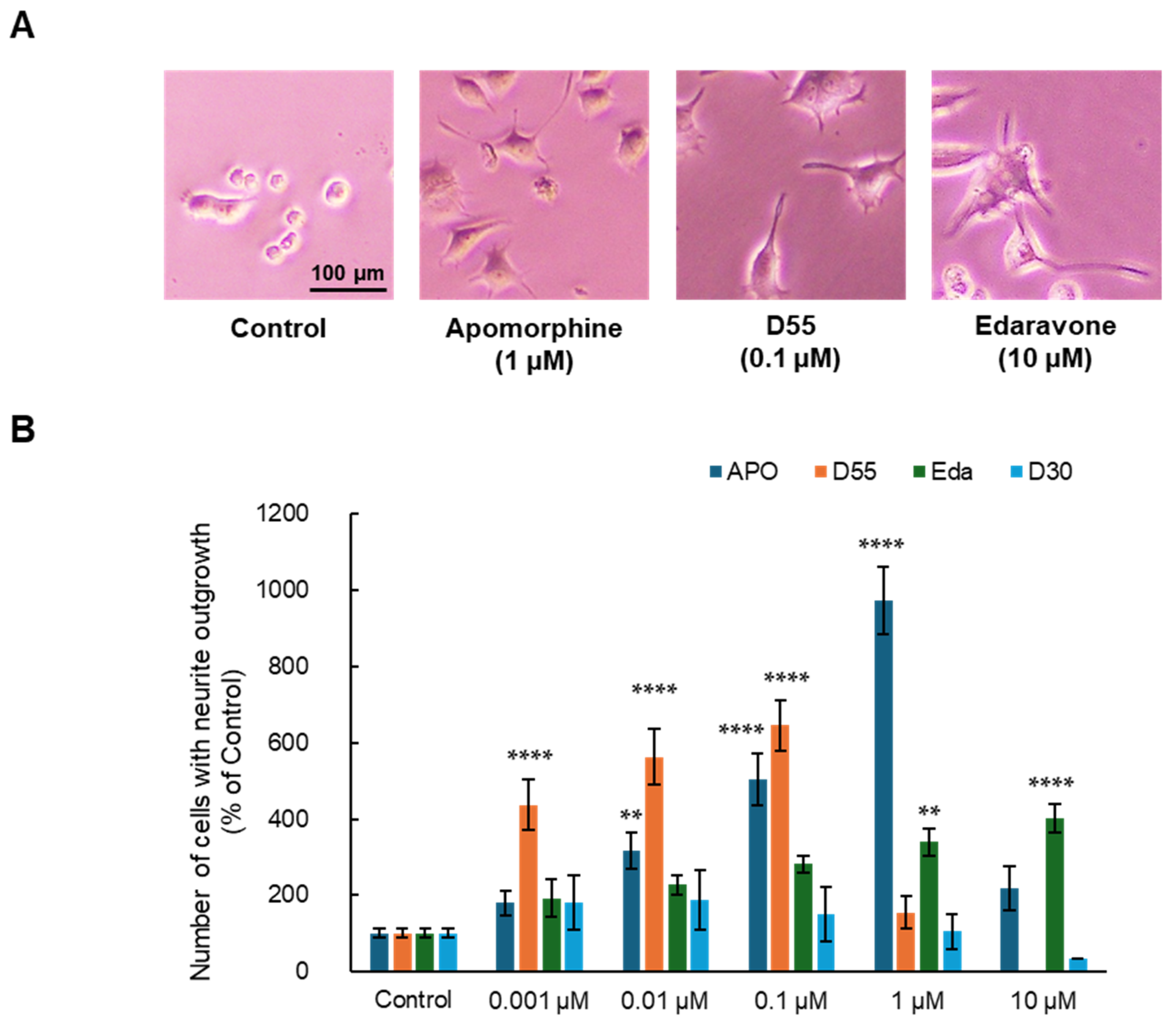 Antioxidants 14 00537 g002