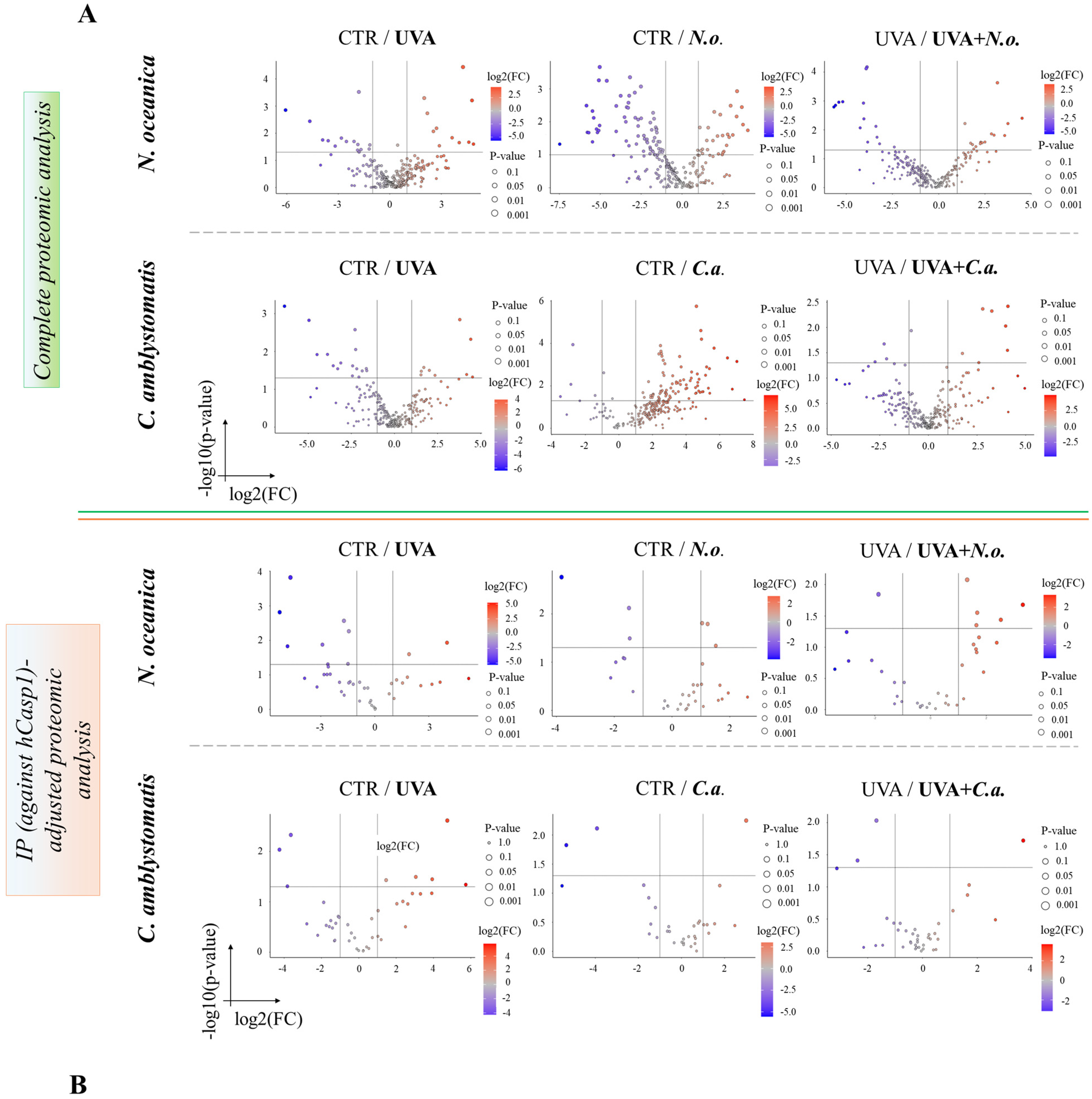 Antioxidants 14 00545 g002