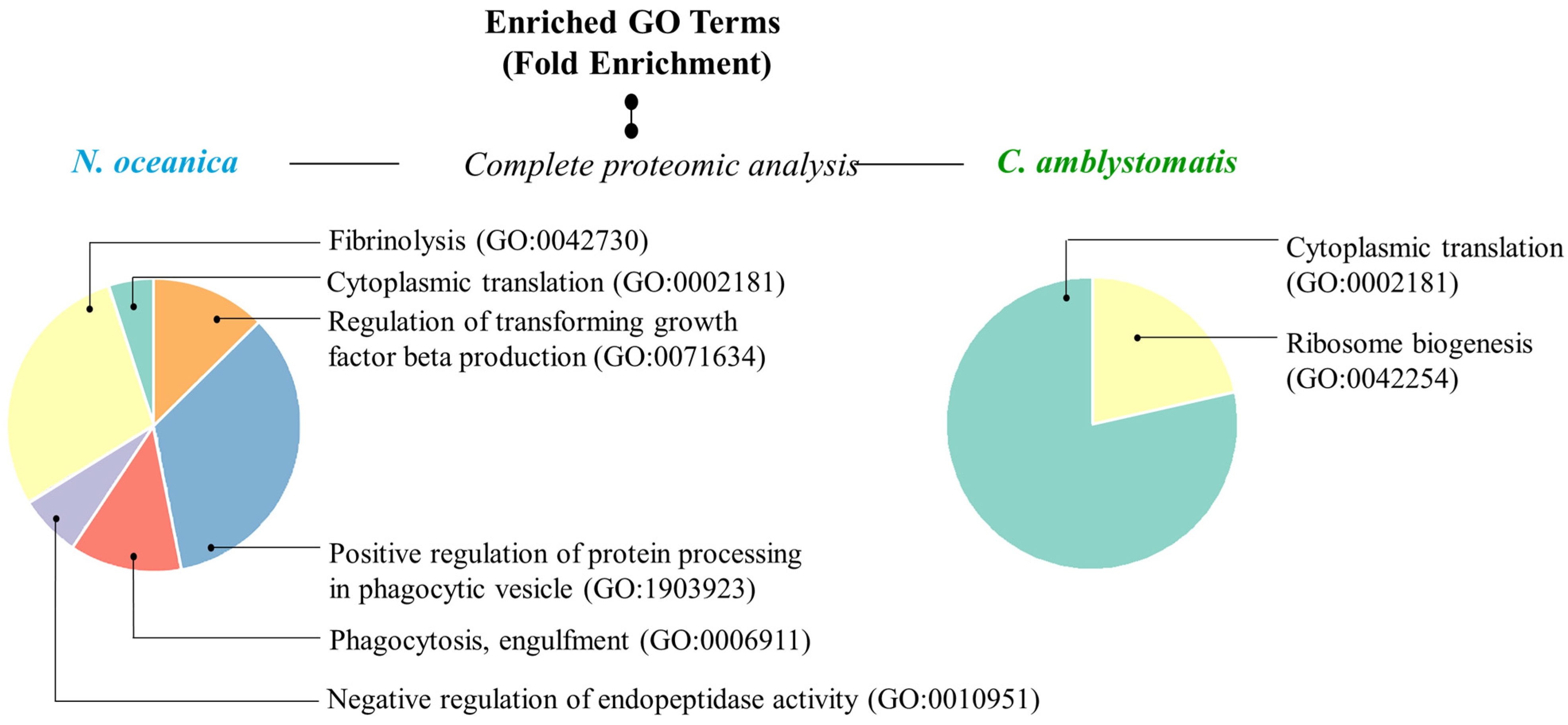 Antioxidants 14 00545 g005