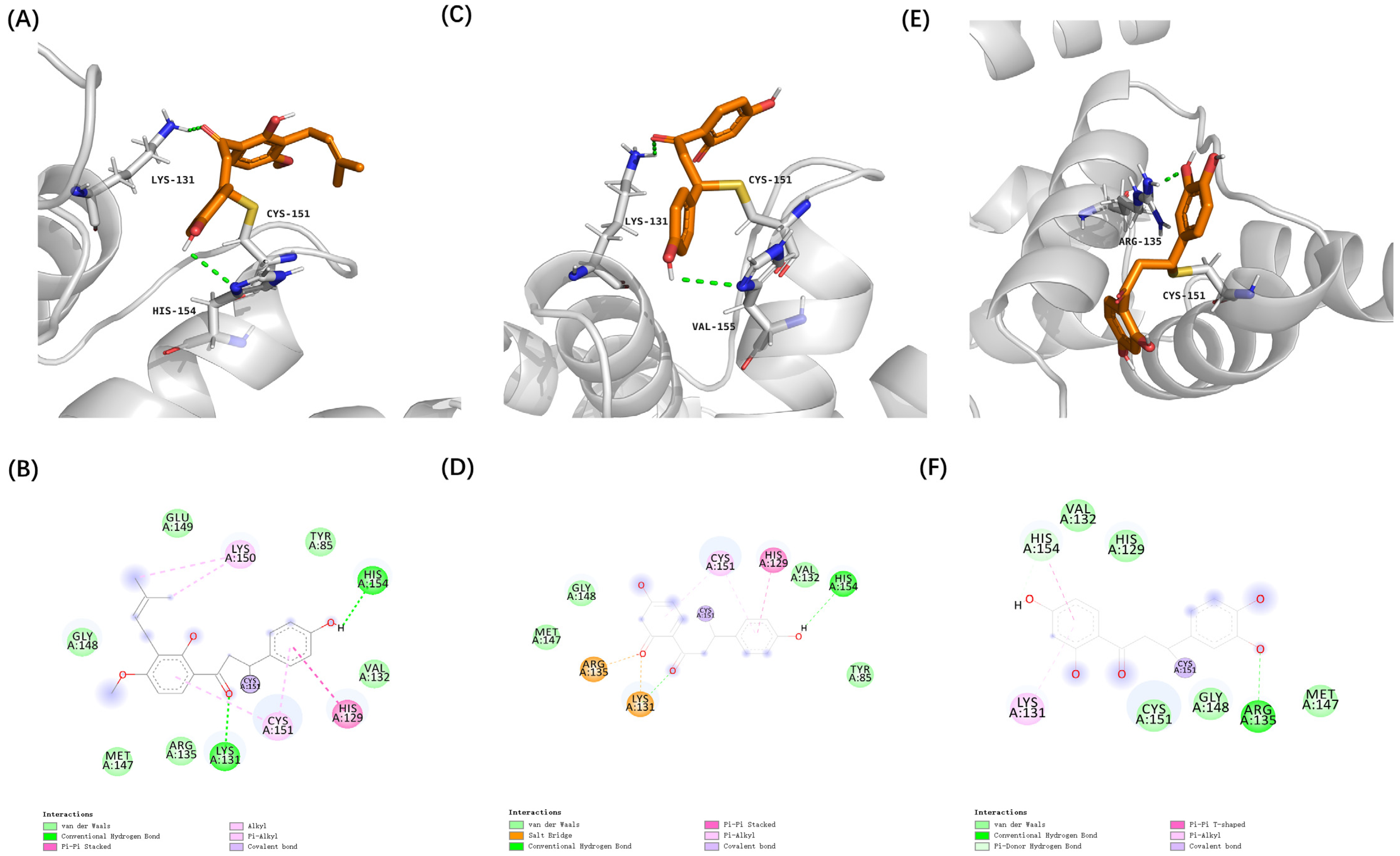 Antioxidants 14 00546 g004