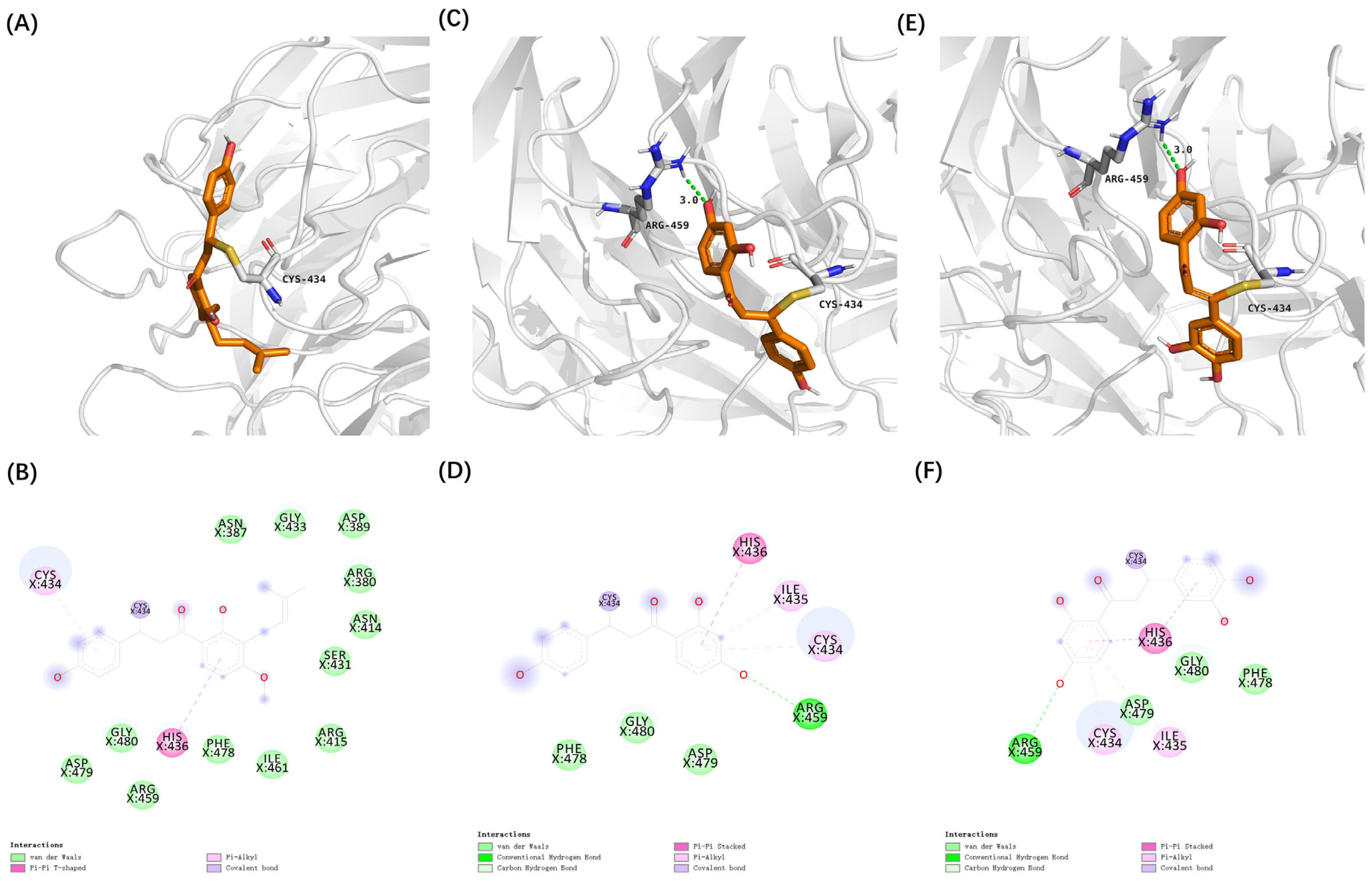 Antioxidants 14 00546 g005