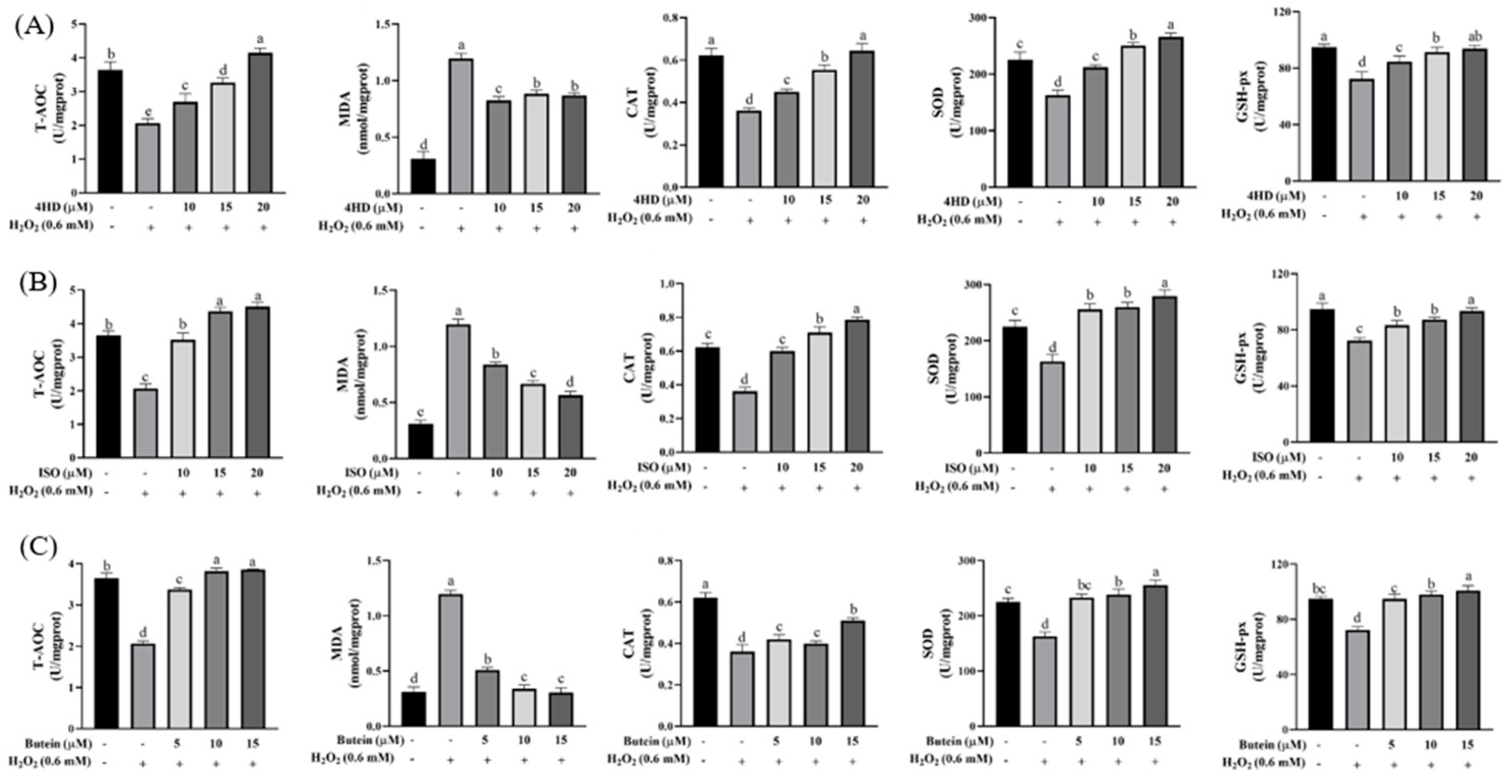 Antioxidants 14 00546 g007