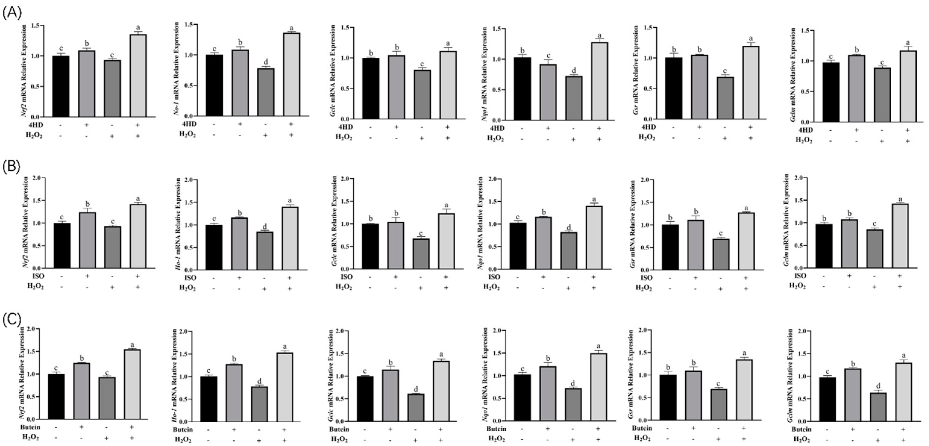Antioxidants 14 00546 g008