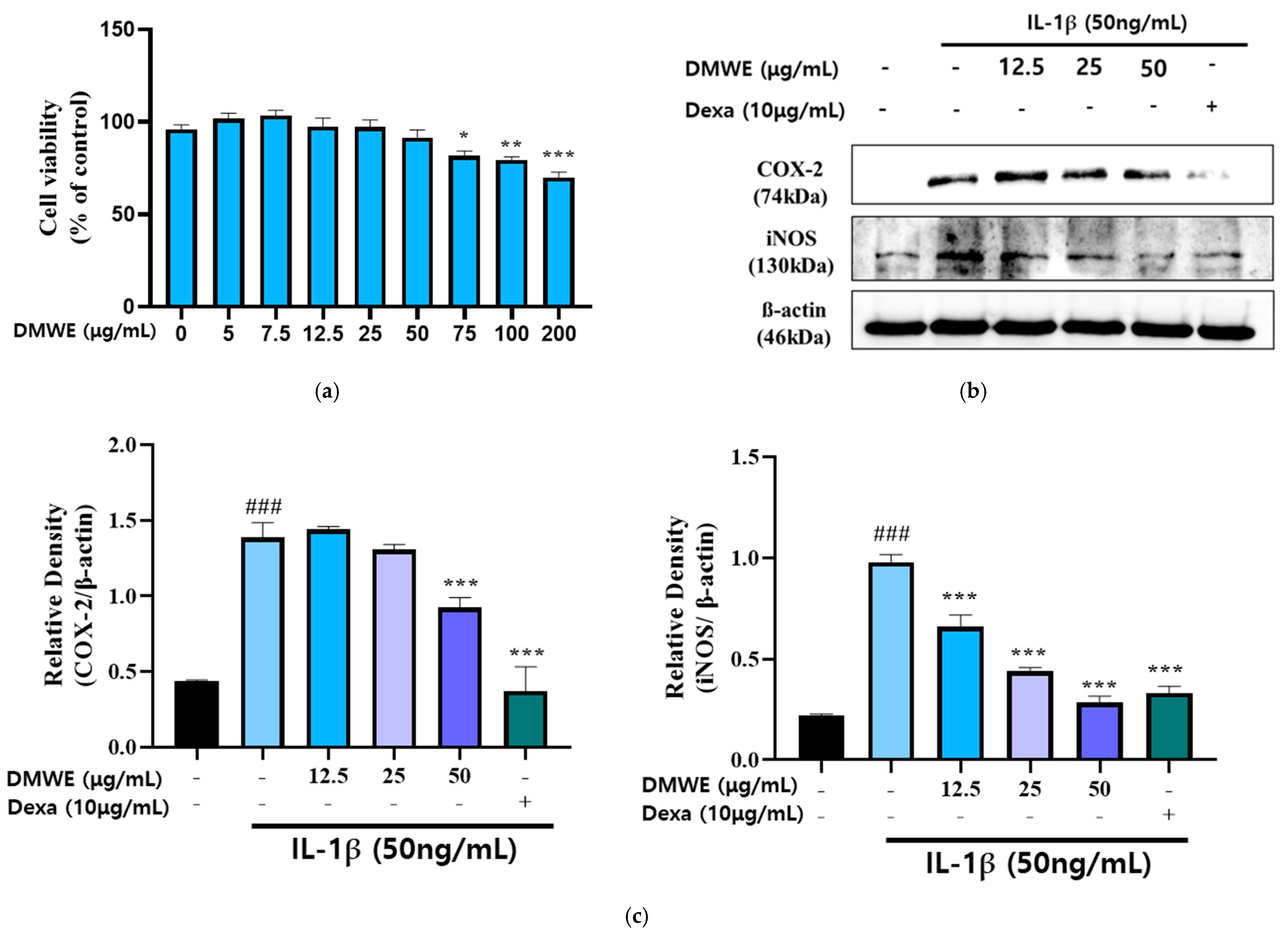 Antioxidants 14 00548 g004