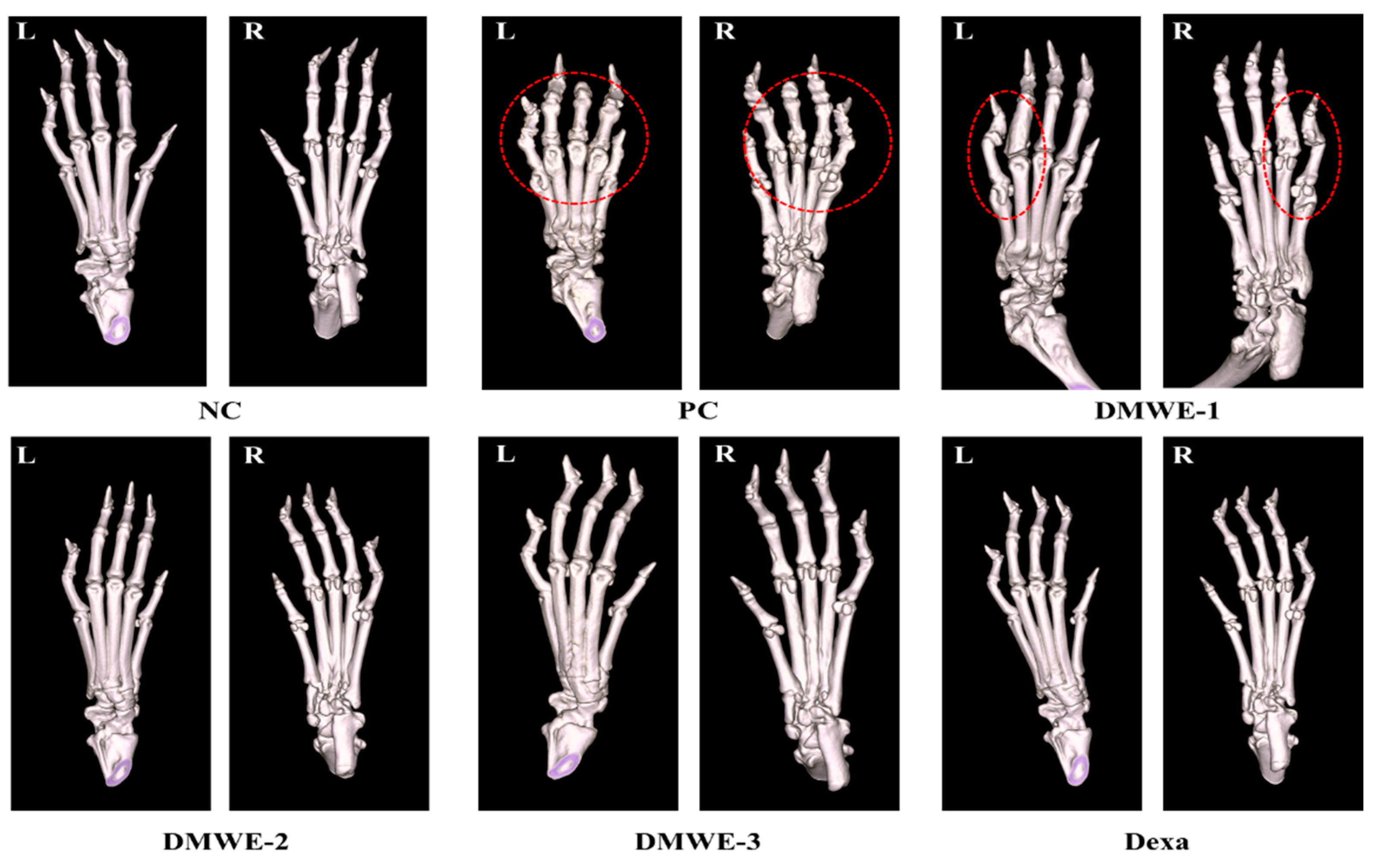 Antioxidants 14 00548 g010